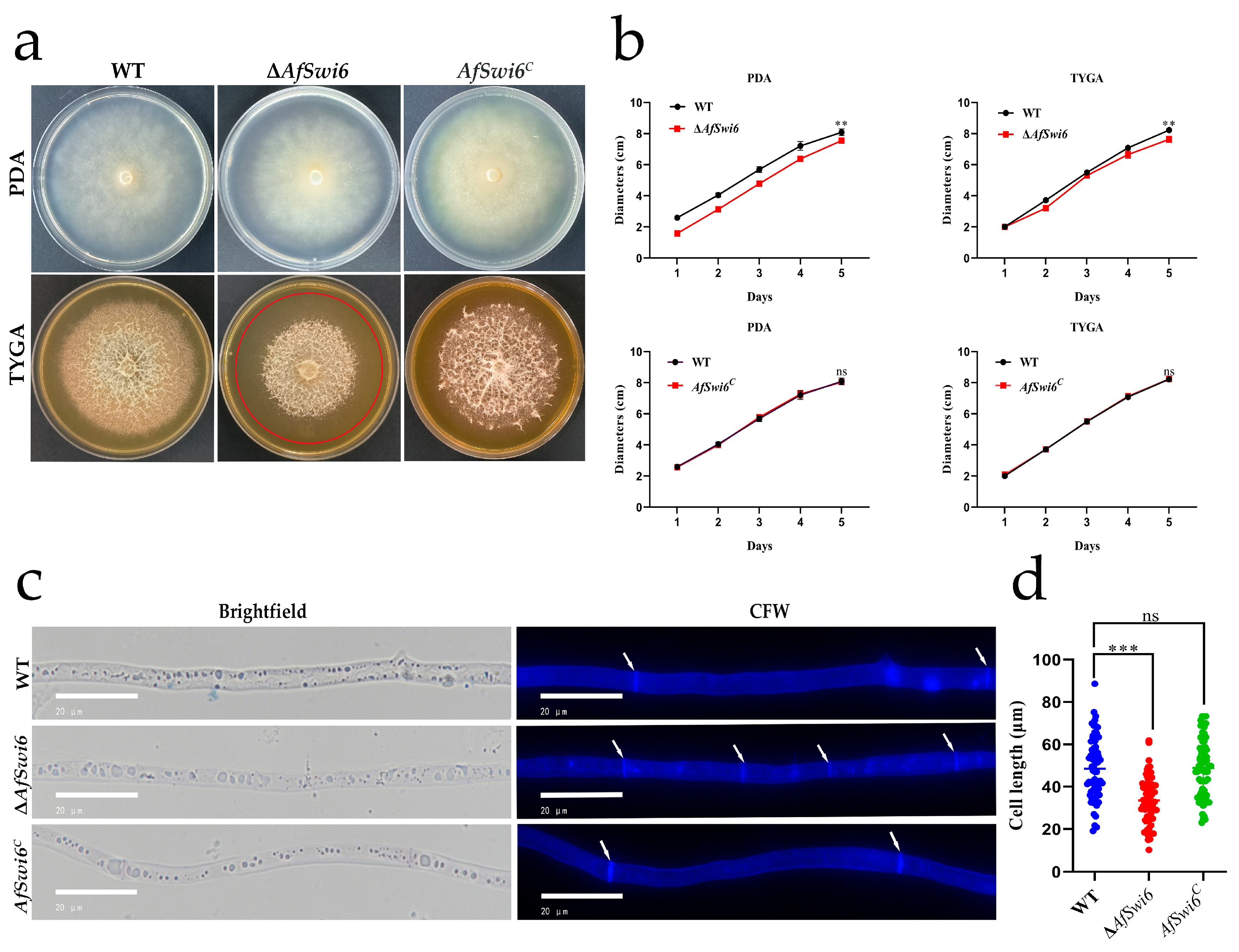 Microorganisms 12 01765 g002