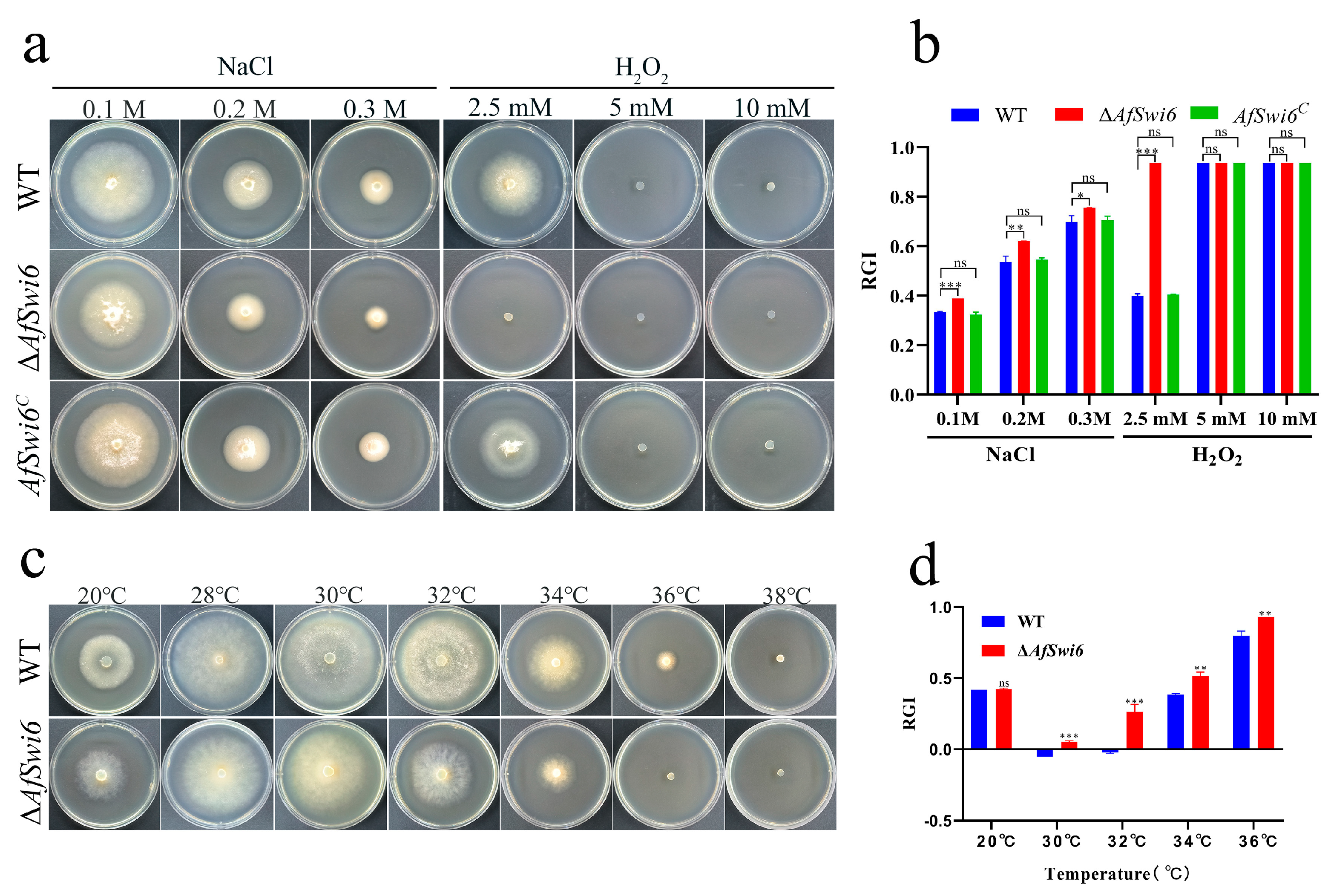 Microorganisms 12 01765 g003