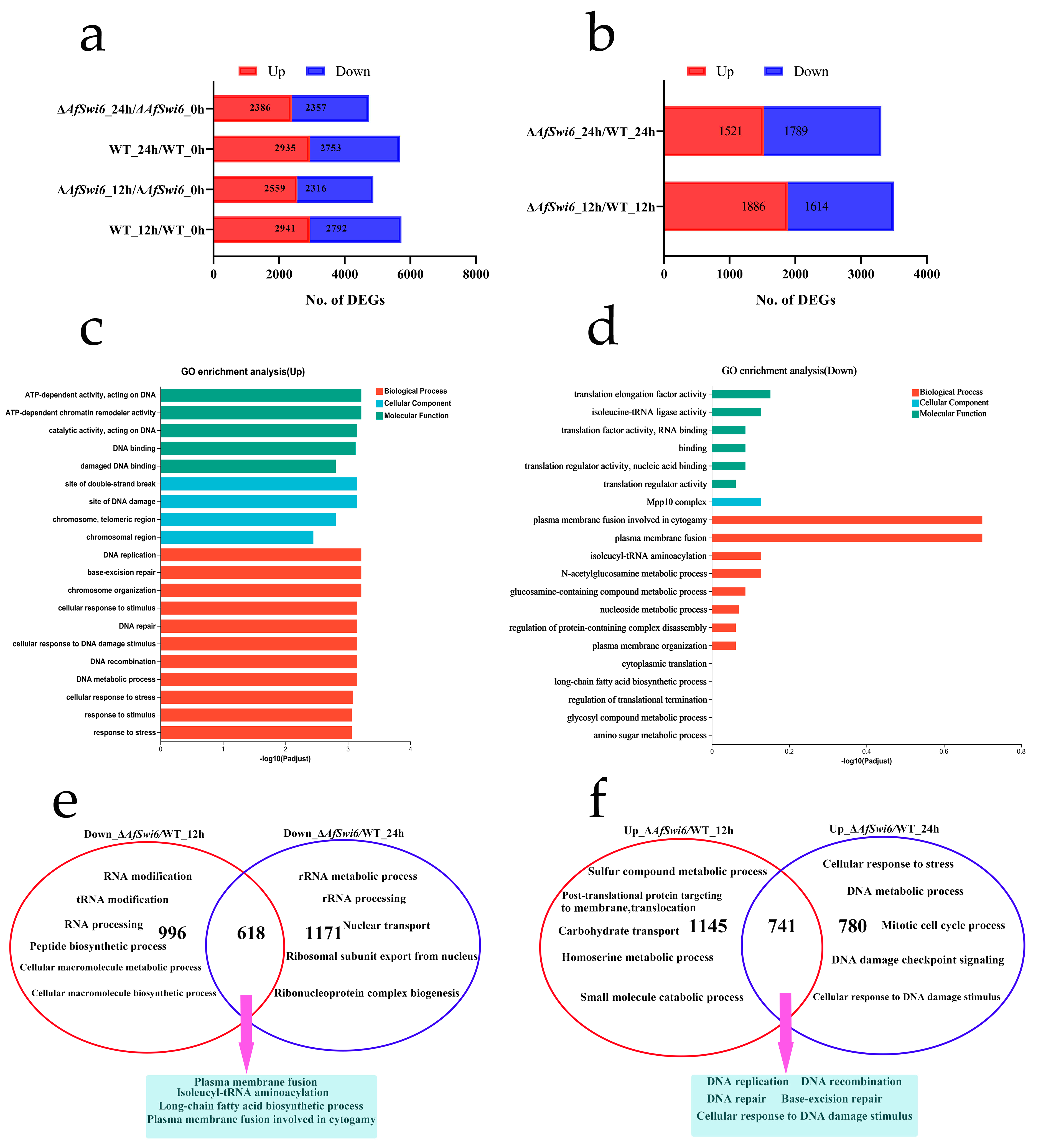 Microorganisms 12 01765 g006