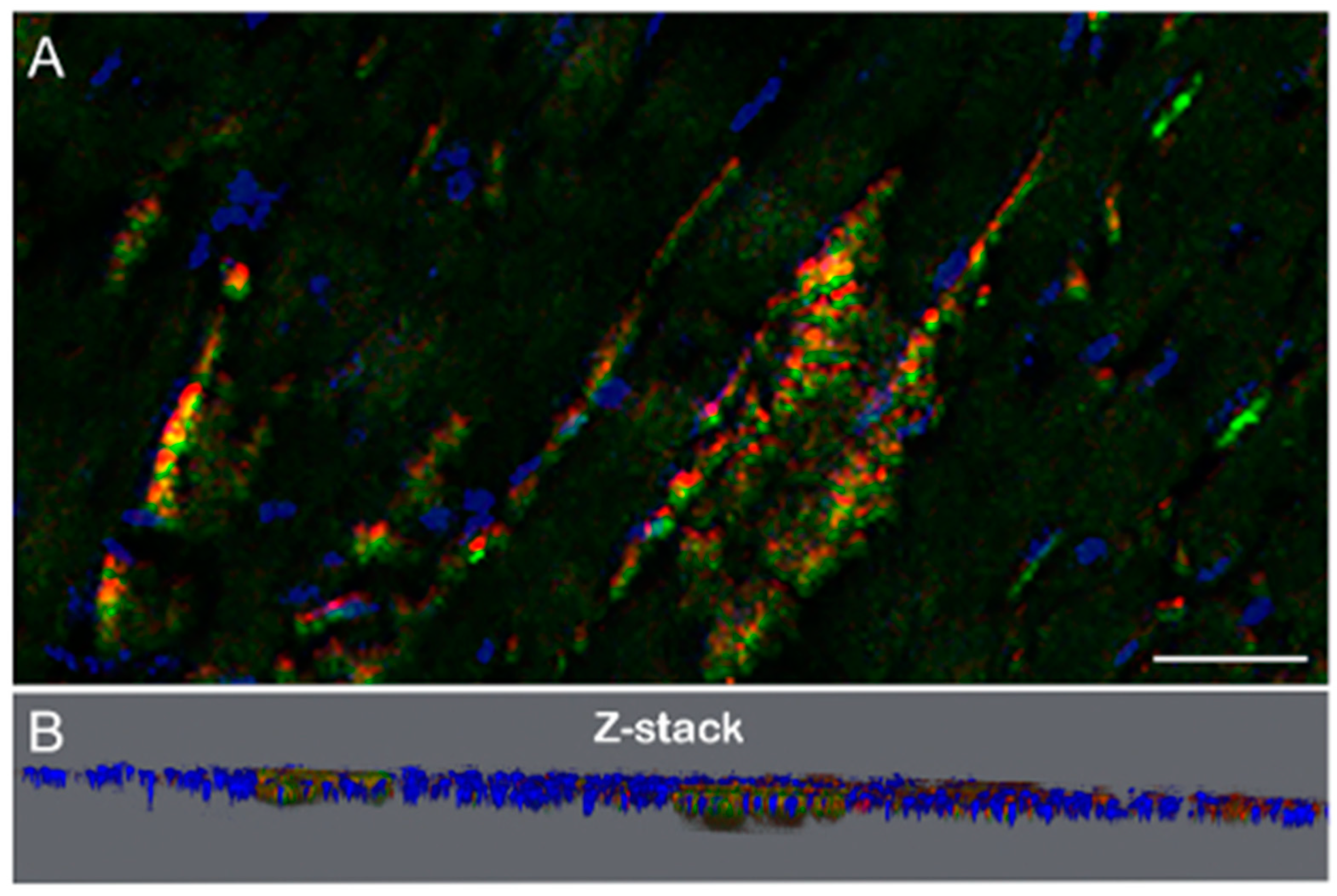 Microorganisms 12 01766 g004