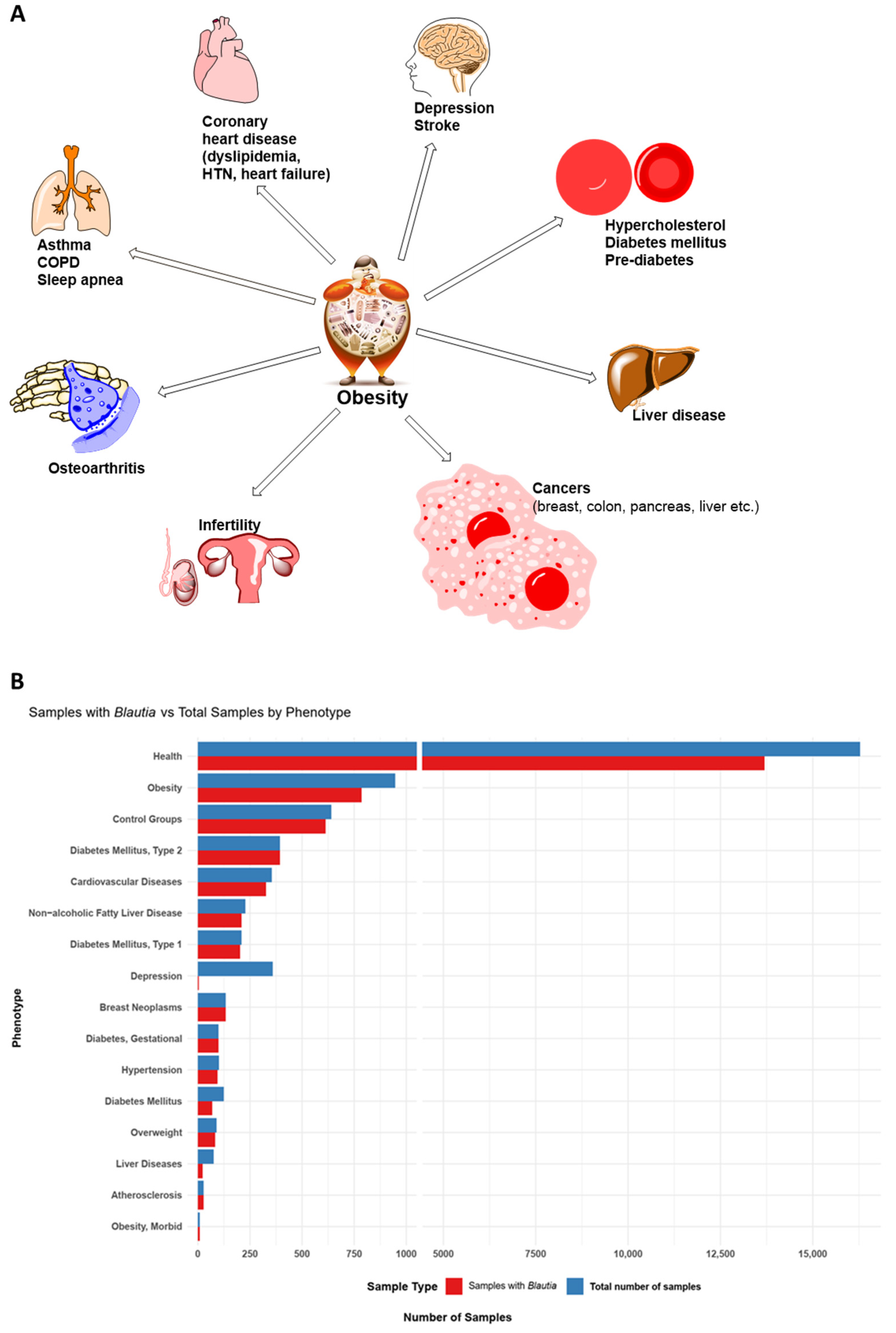 Microorganisms 12 01768 g001 Microorganisms 12 01768 g001