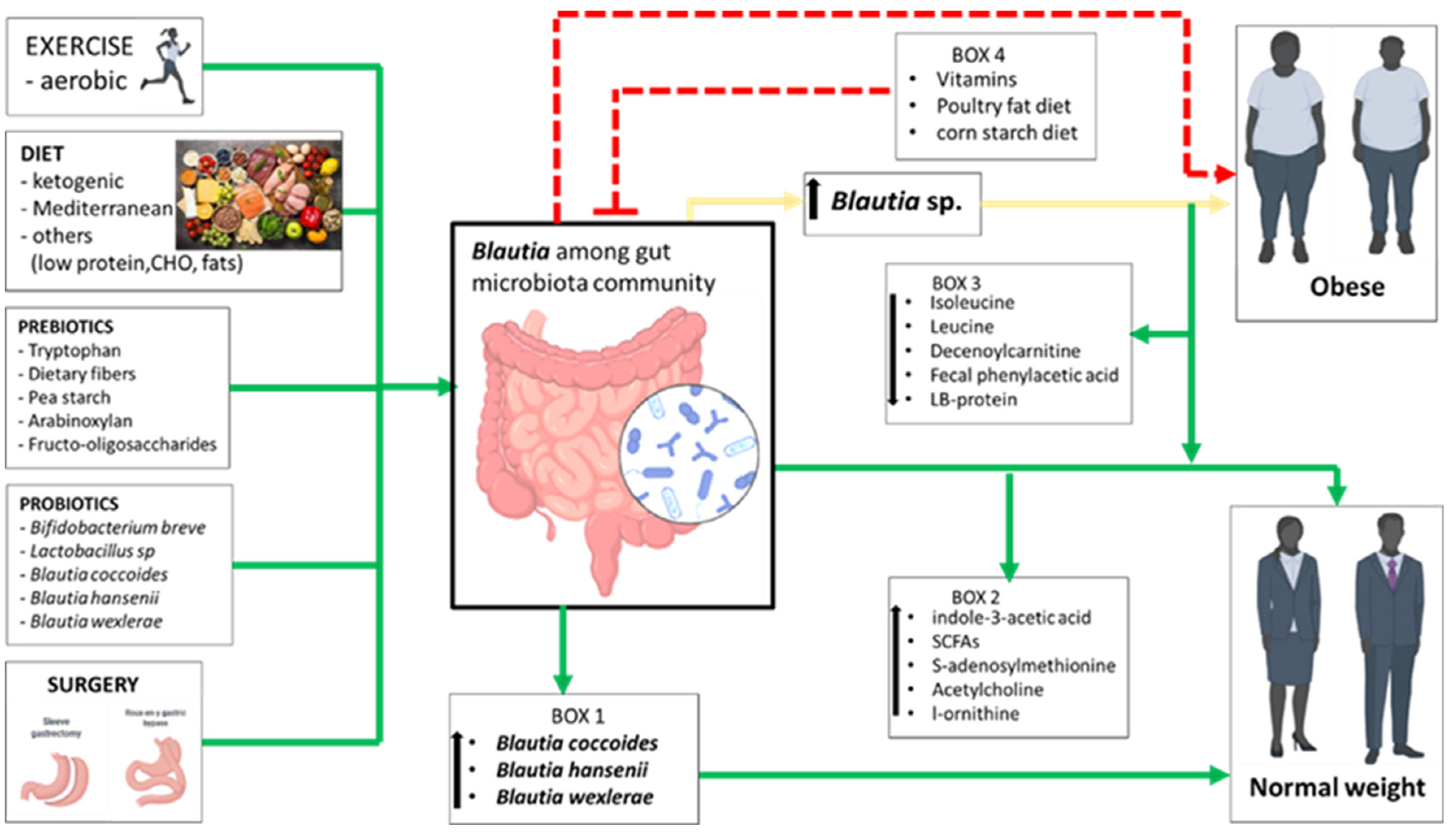 Microorganisms 12 01768 g005 Microorganisms 12 01768 g005