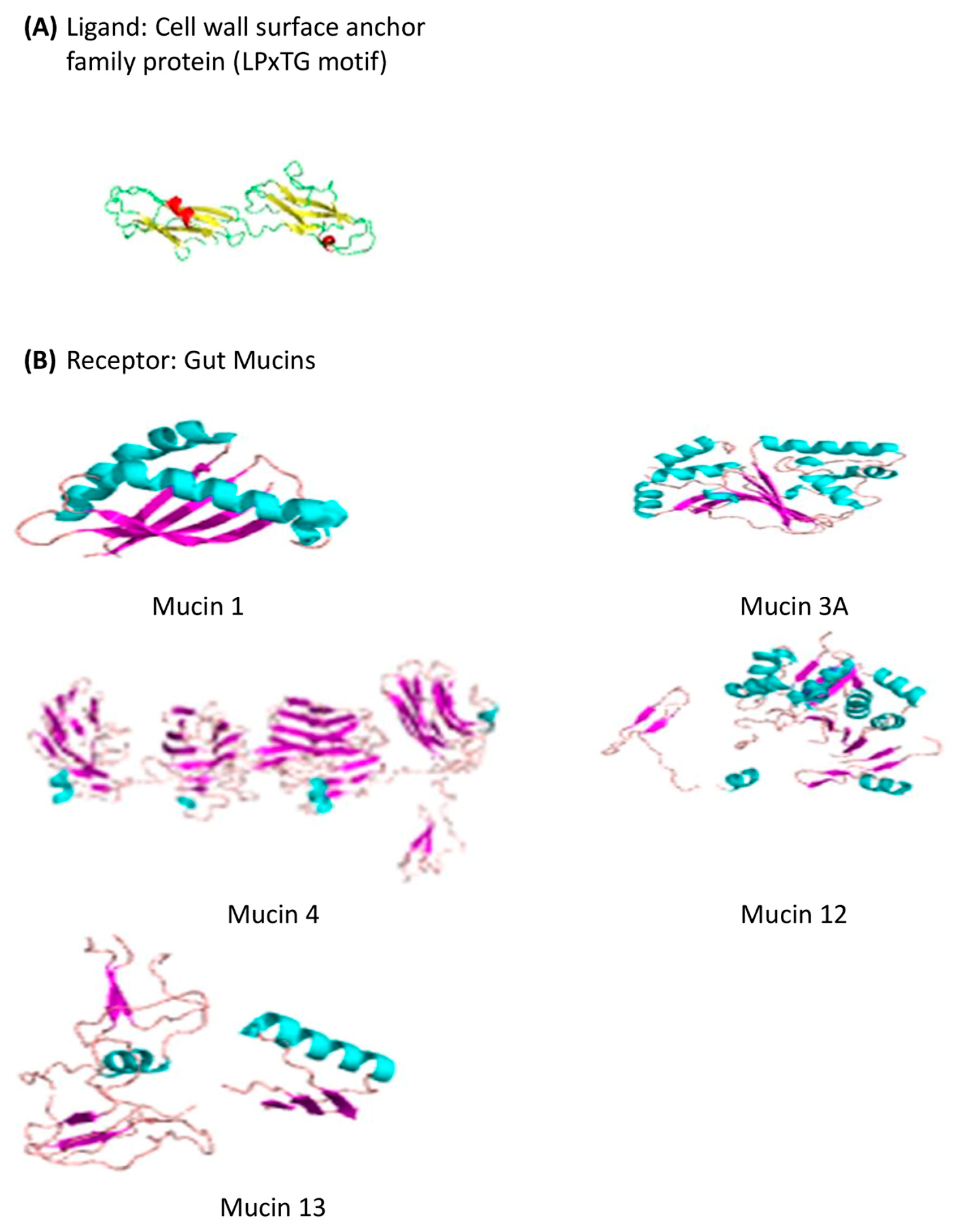 Microorganisms 12 01771 g004