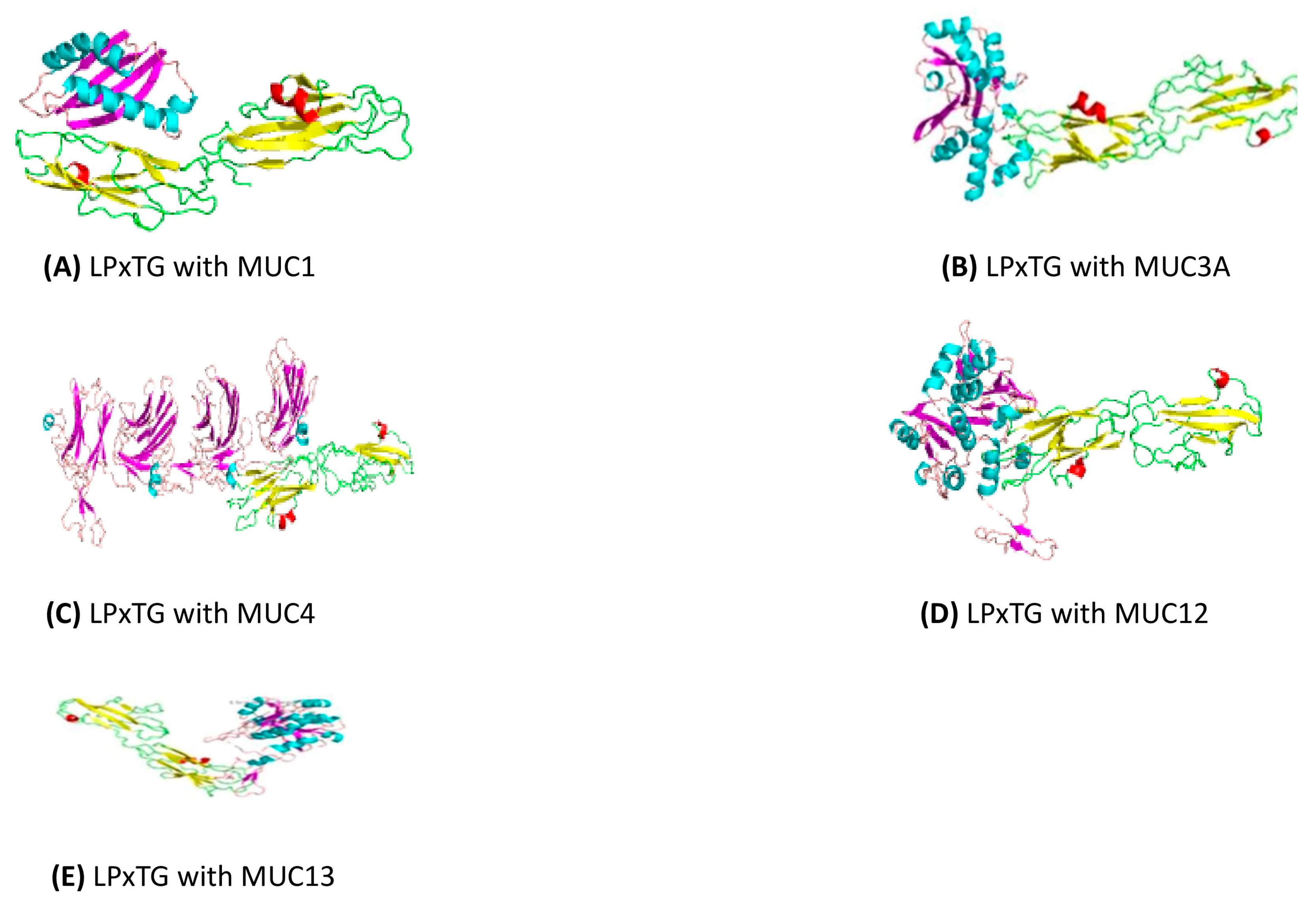 Microorganisms 12 01771 g005