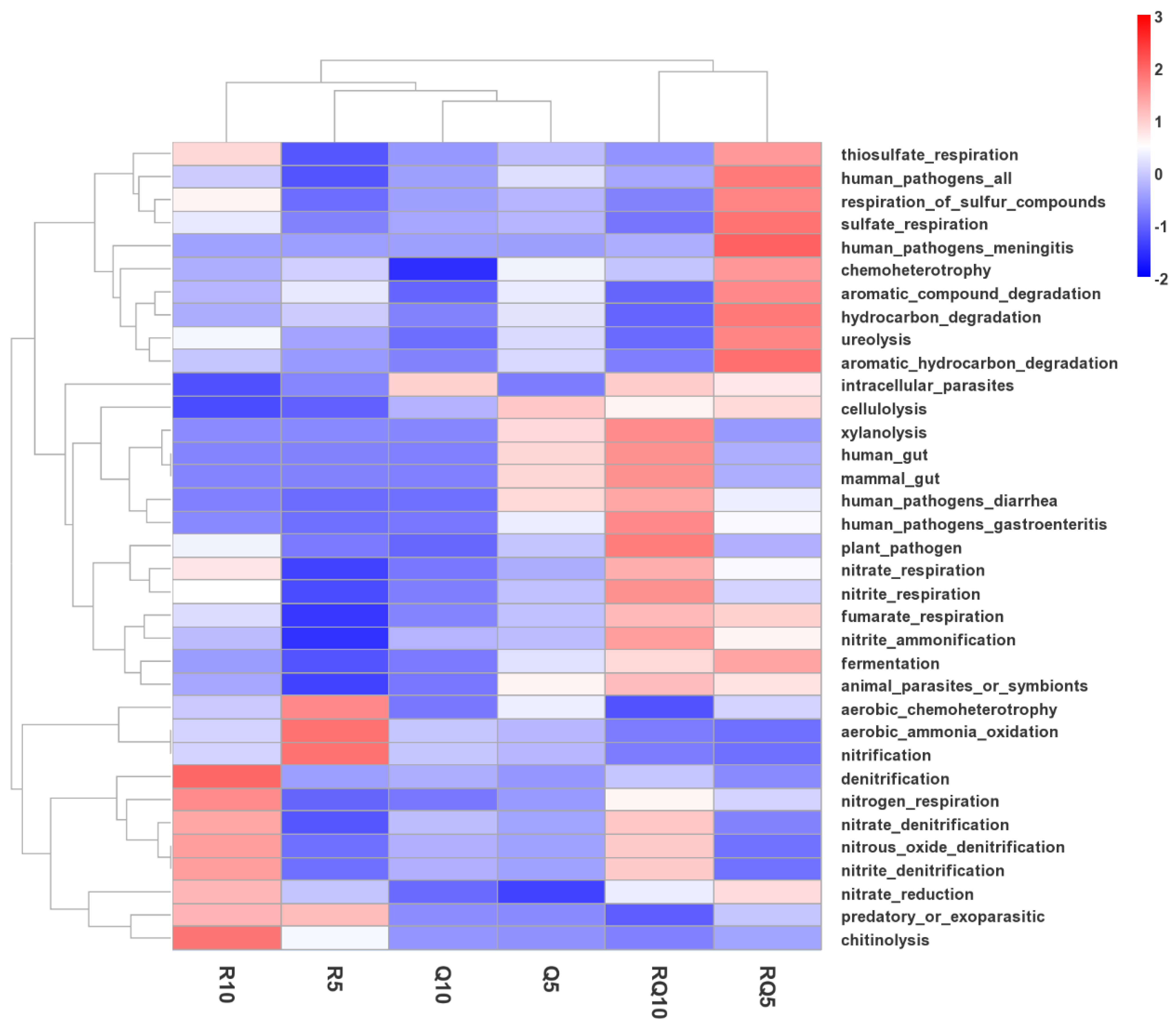 Microorganisms 12 01773 g008