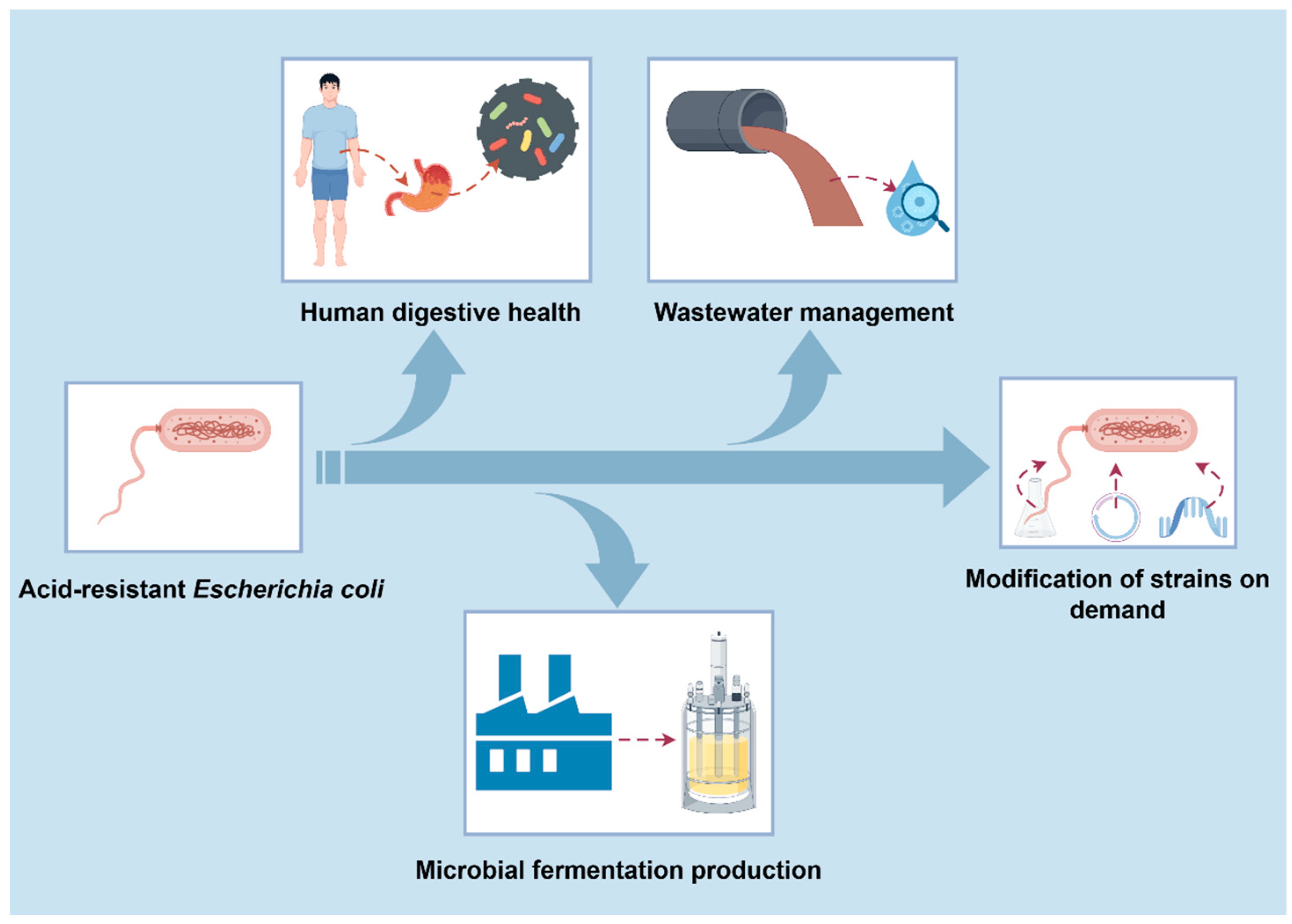 Microorganisms 12 01774 g003 Microorganisms 12 01774 g003