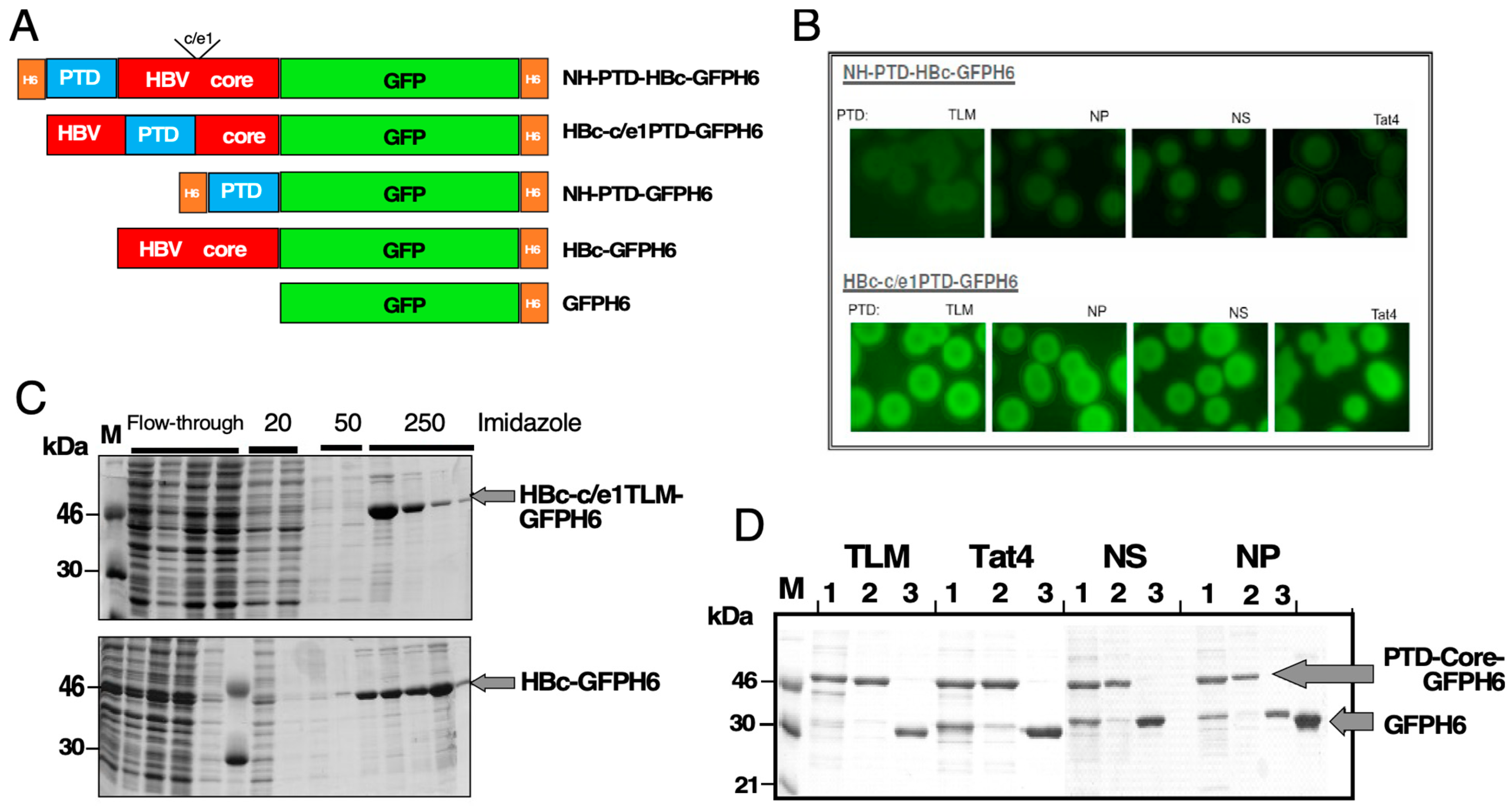 Microorganisms 12 01776 g001