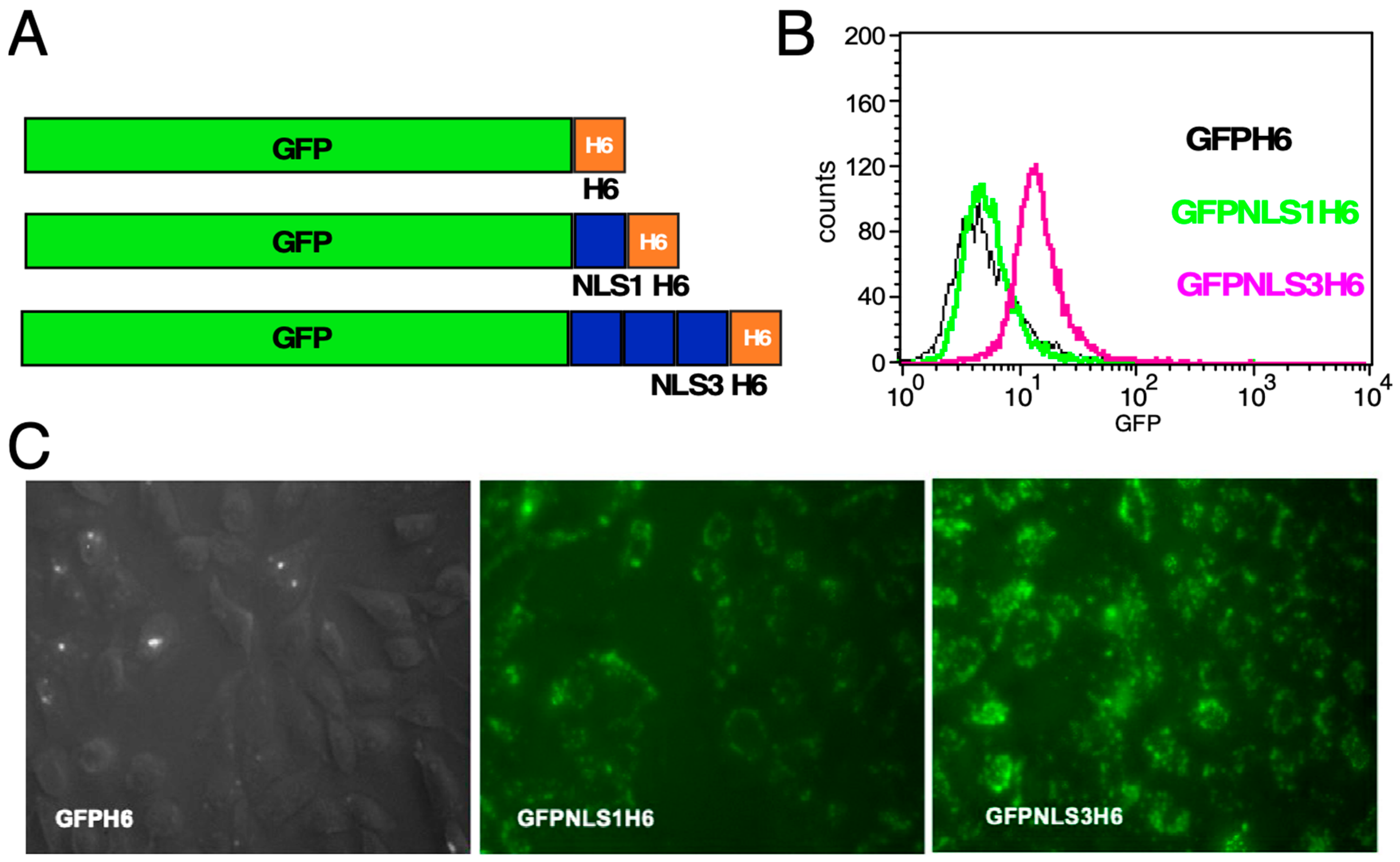 Microorganisms 12 01776 g003