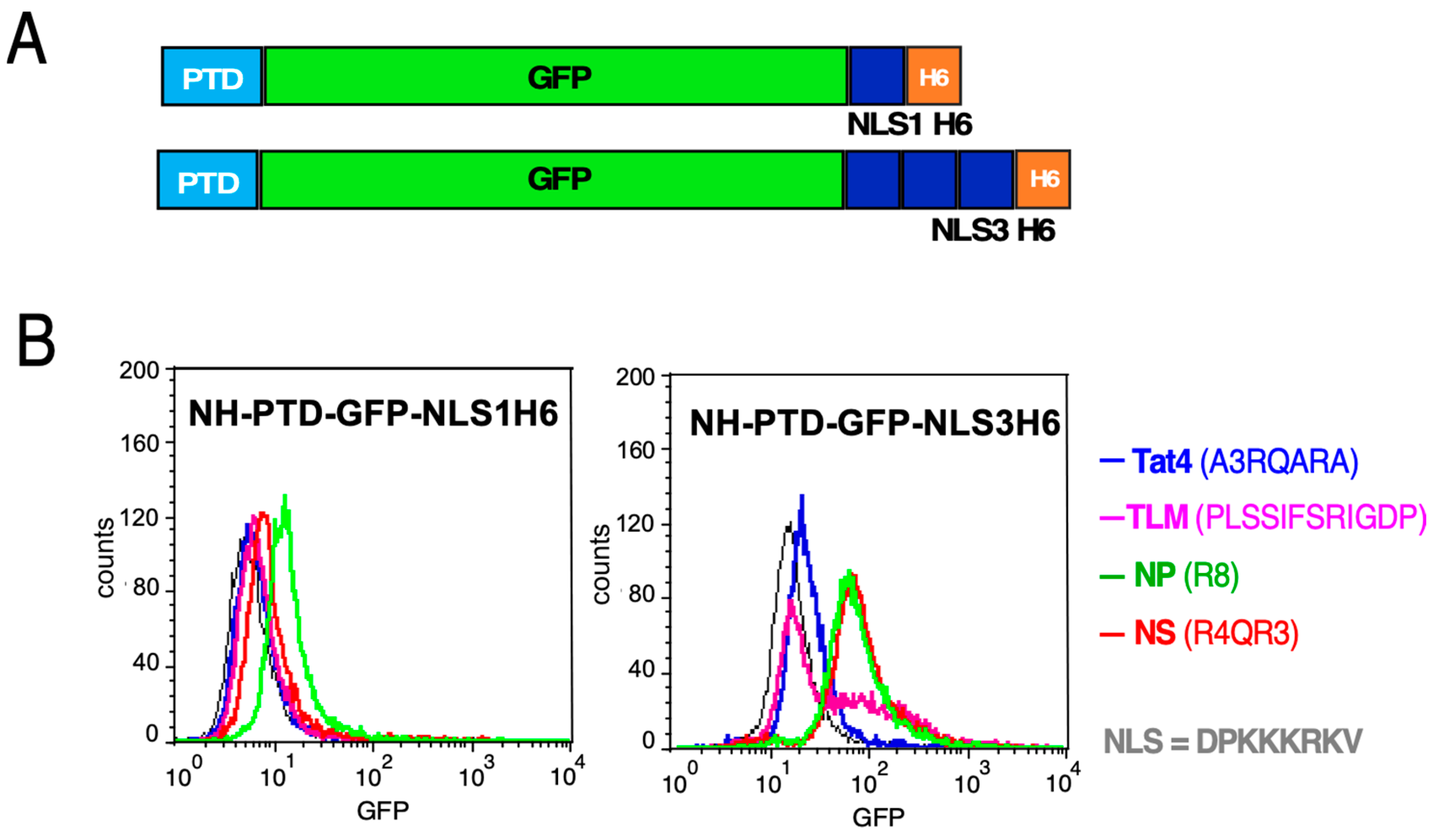 Microorganisms 12 01776 g004