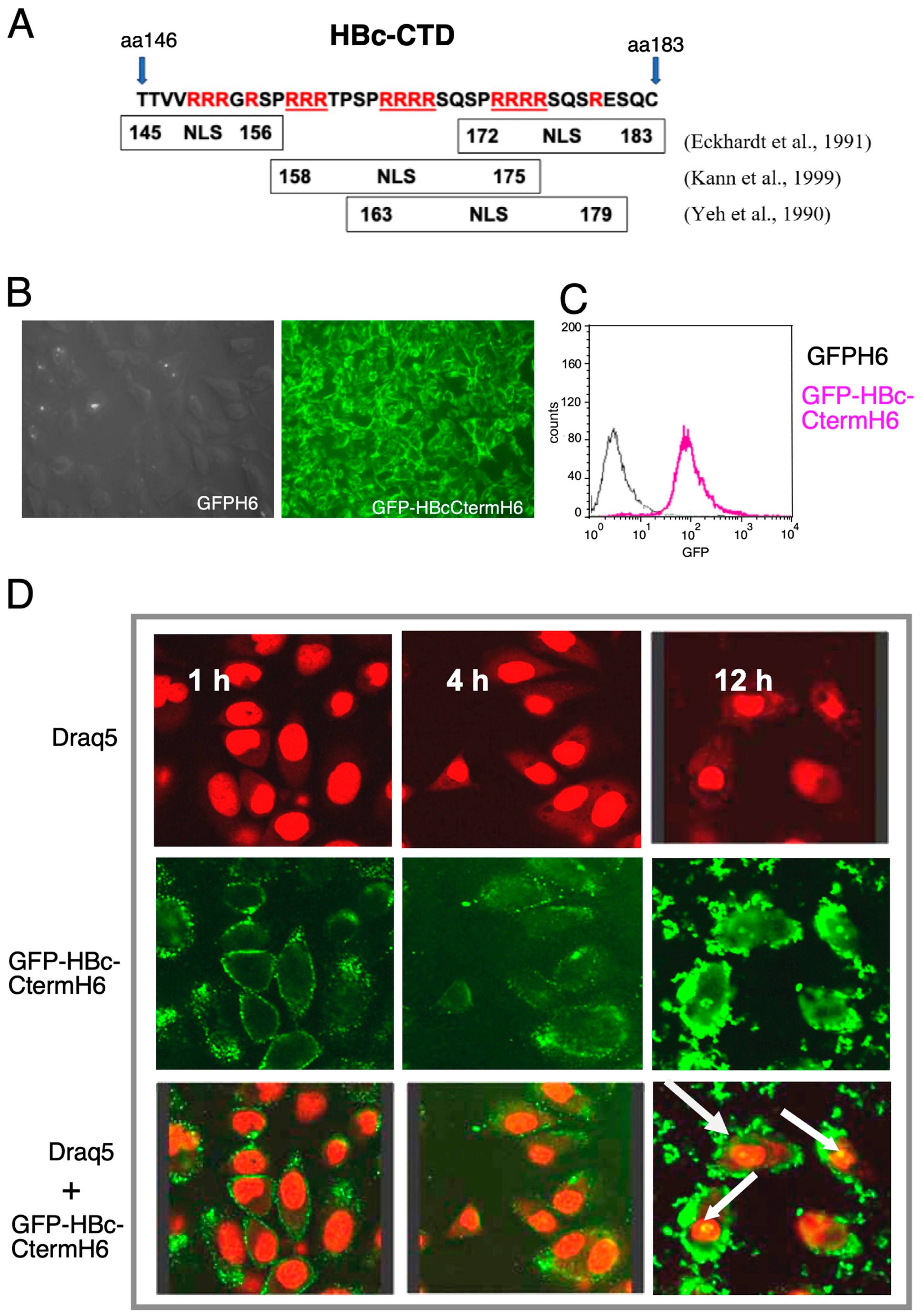 Microorganisms 12 01776 g005