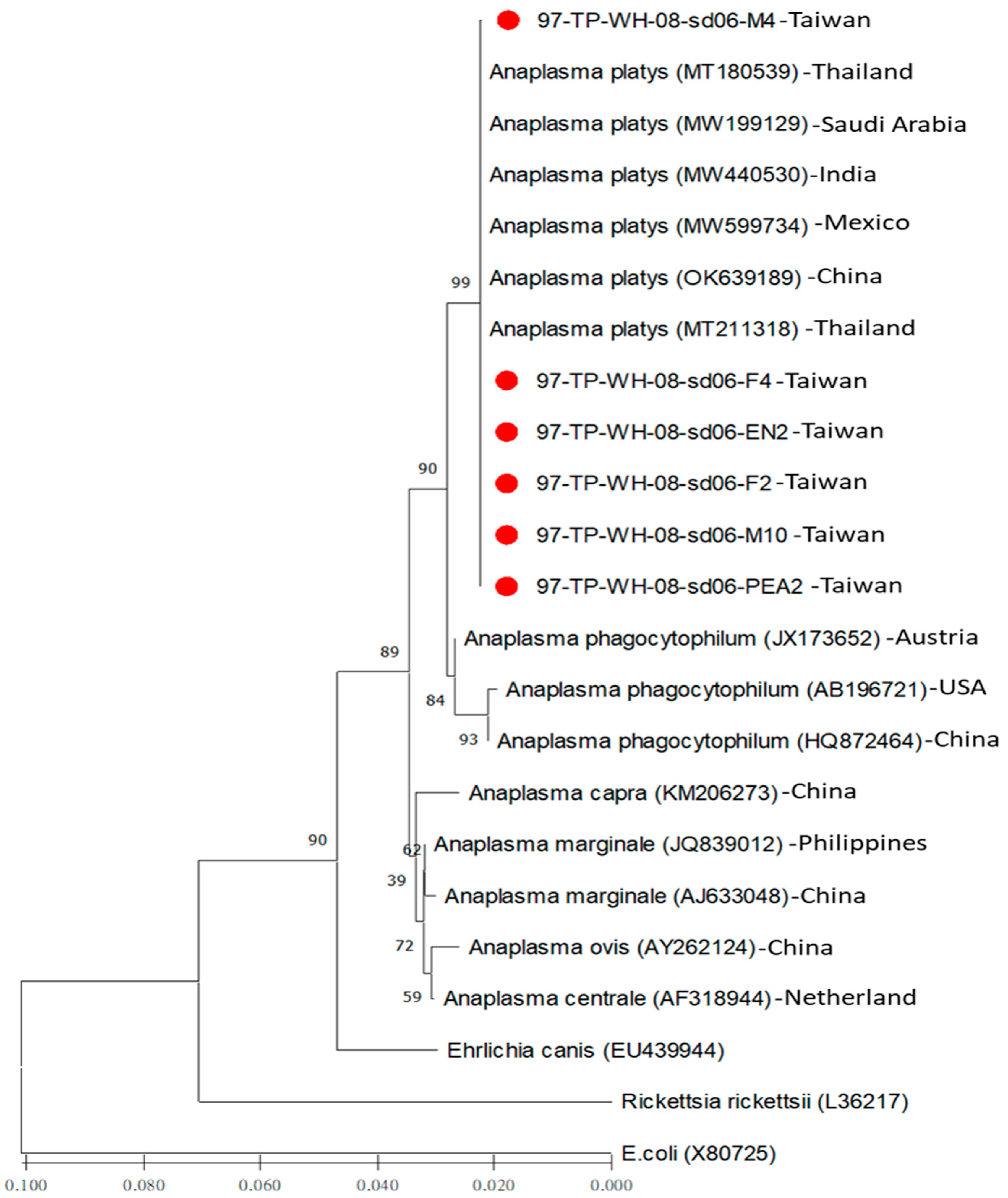 Microorganisms 12 01779 g001