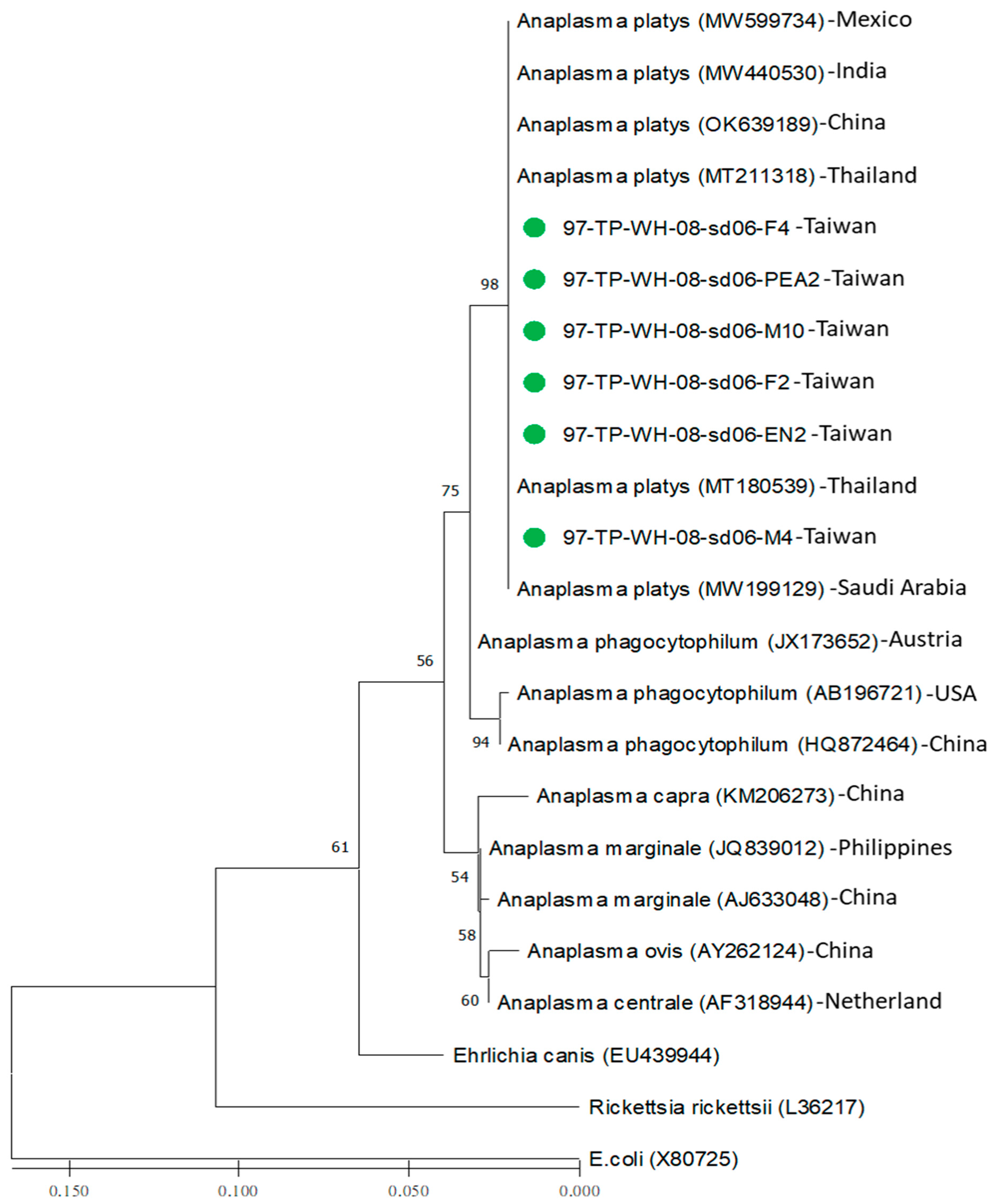 Microorganisms 12 01779 g002