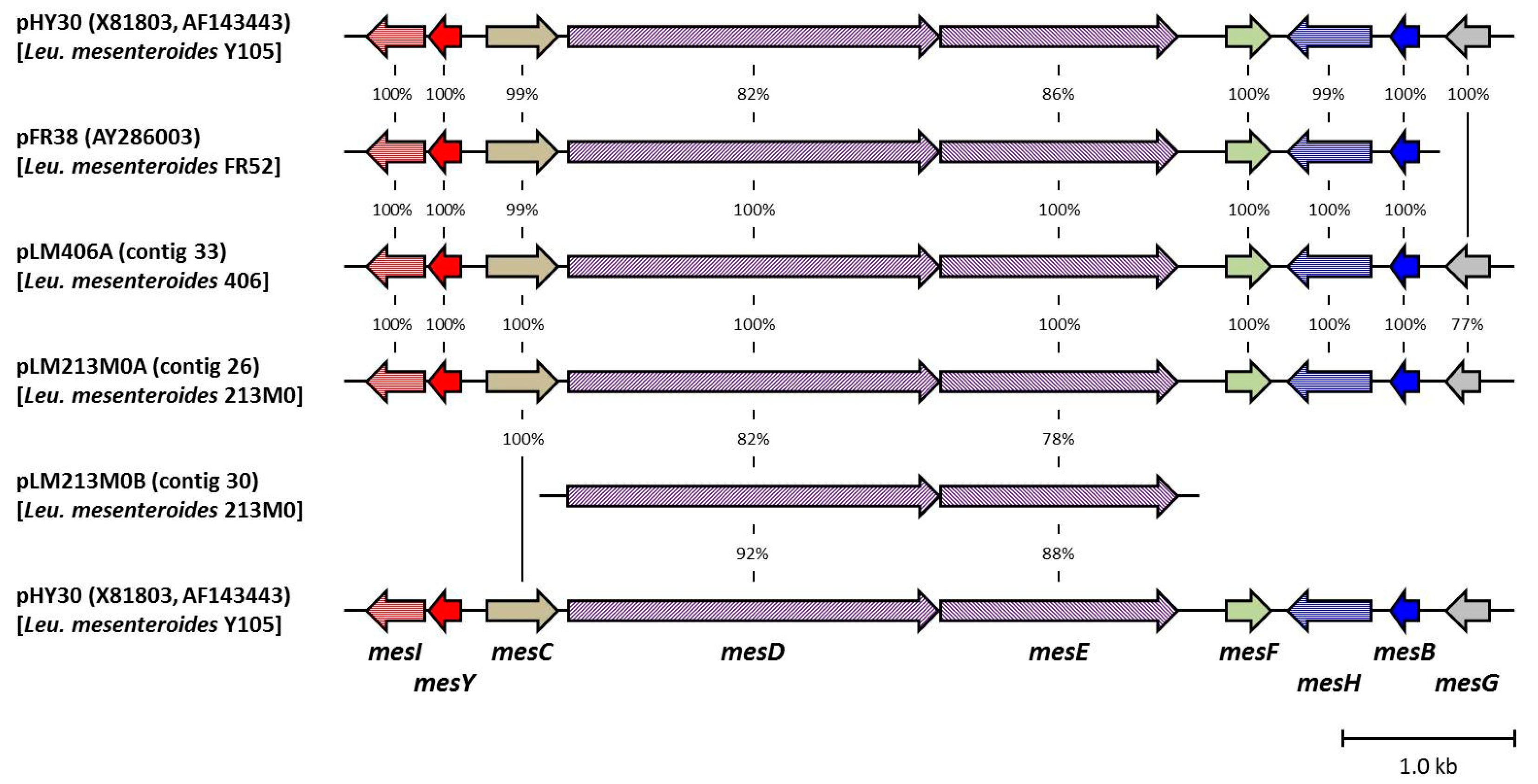 Microorganisms 12 01781 g002 Microorganisms 12 01781 g002