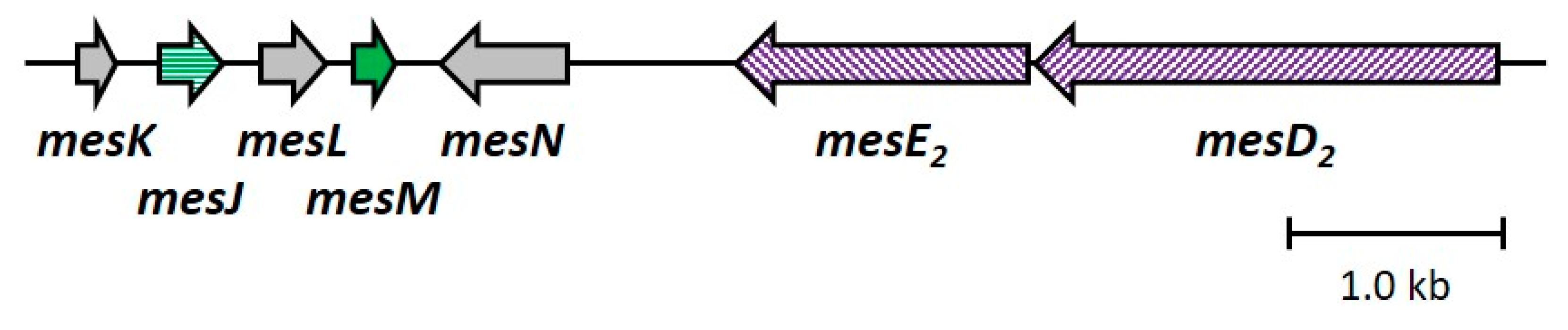 Microorganisms 12 01781 g007 Microorganisms 12 01781 g007