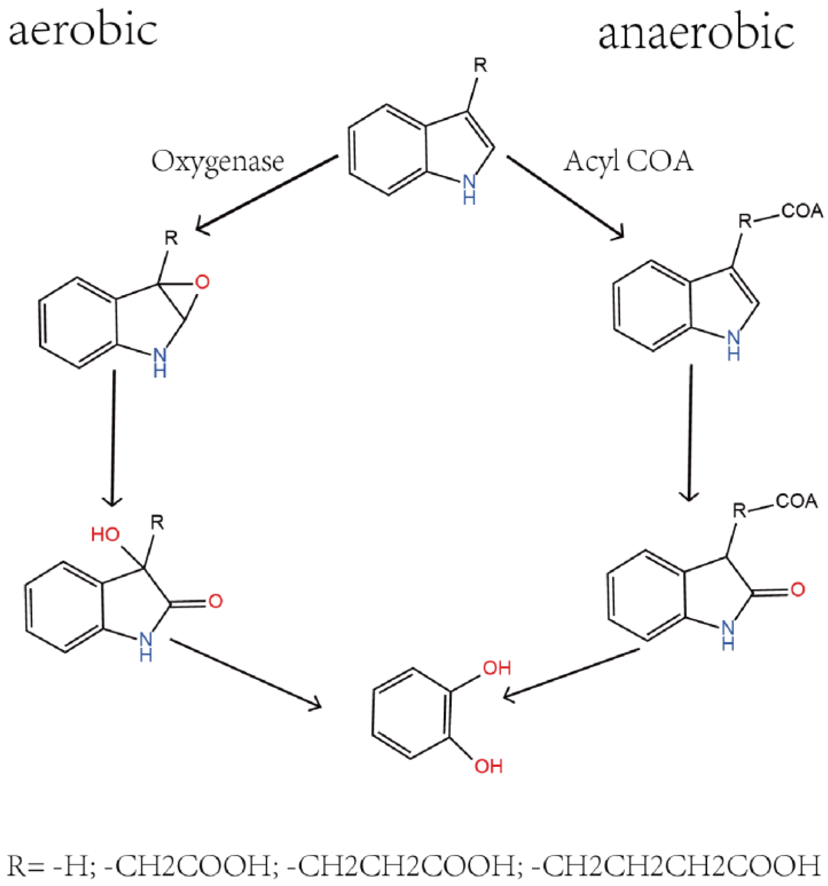Microorganisms 12 01792 g001
