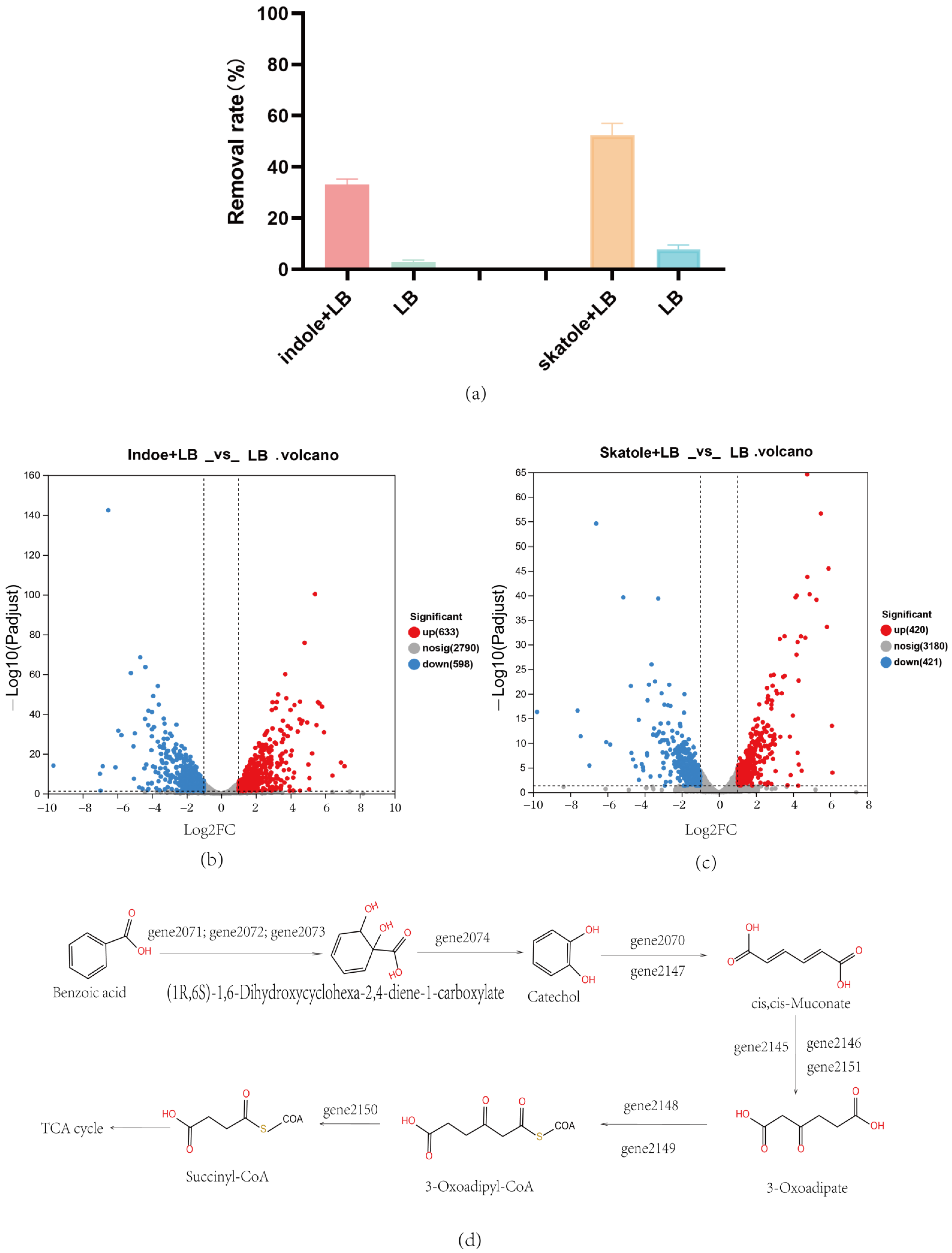 Microorganisms 12 01792 g004