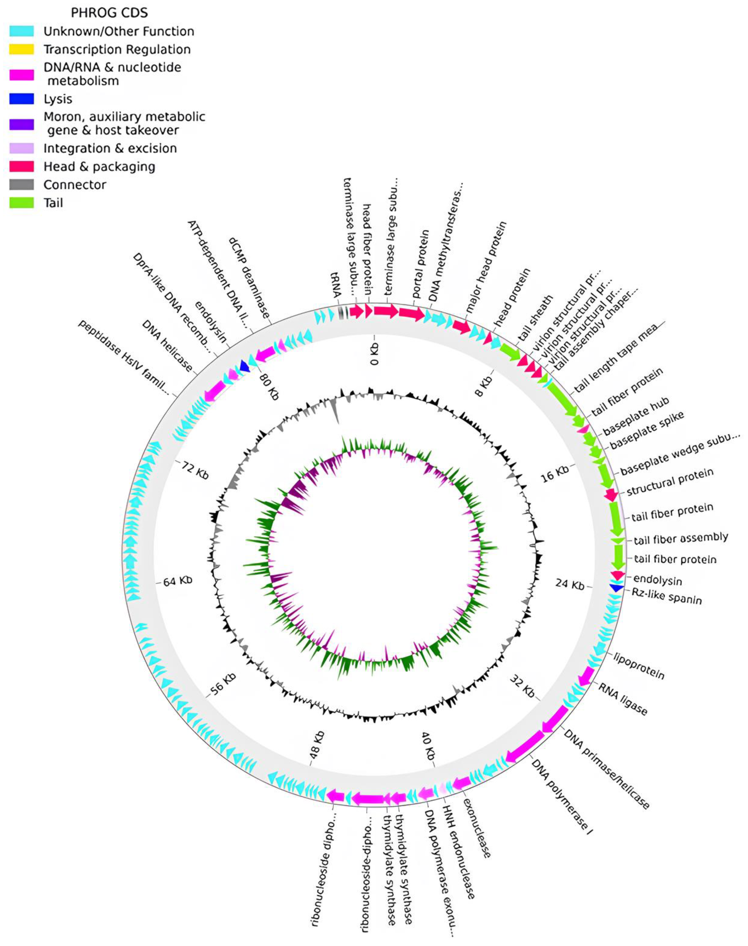 Microorganisms 12 01795 g004