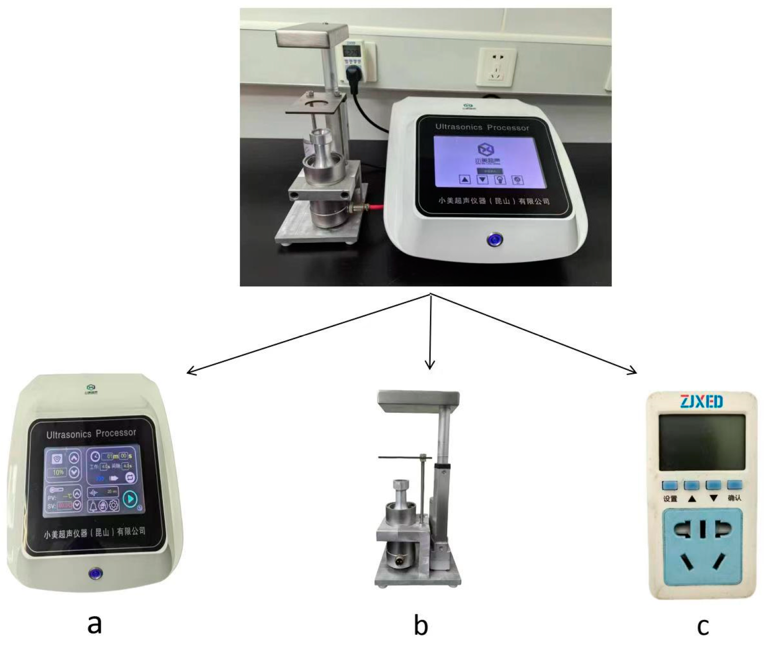 Microorganisms 12 01799 g001