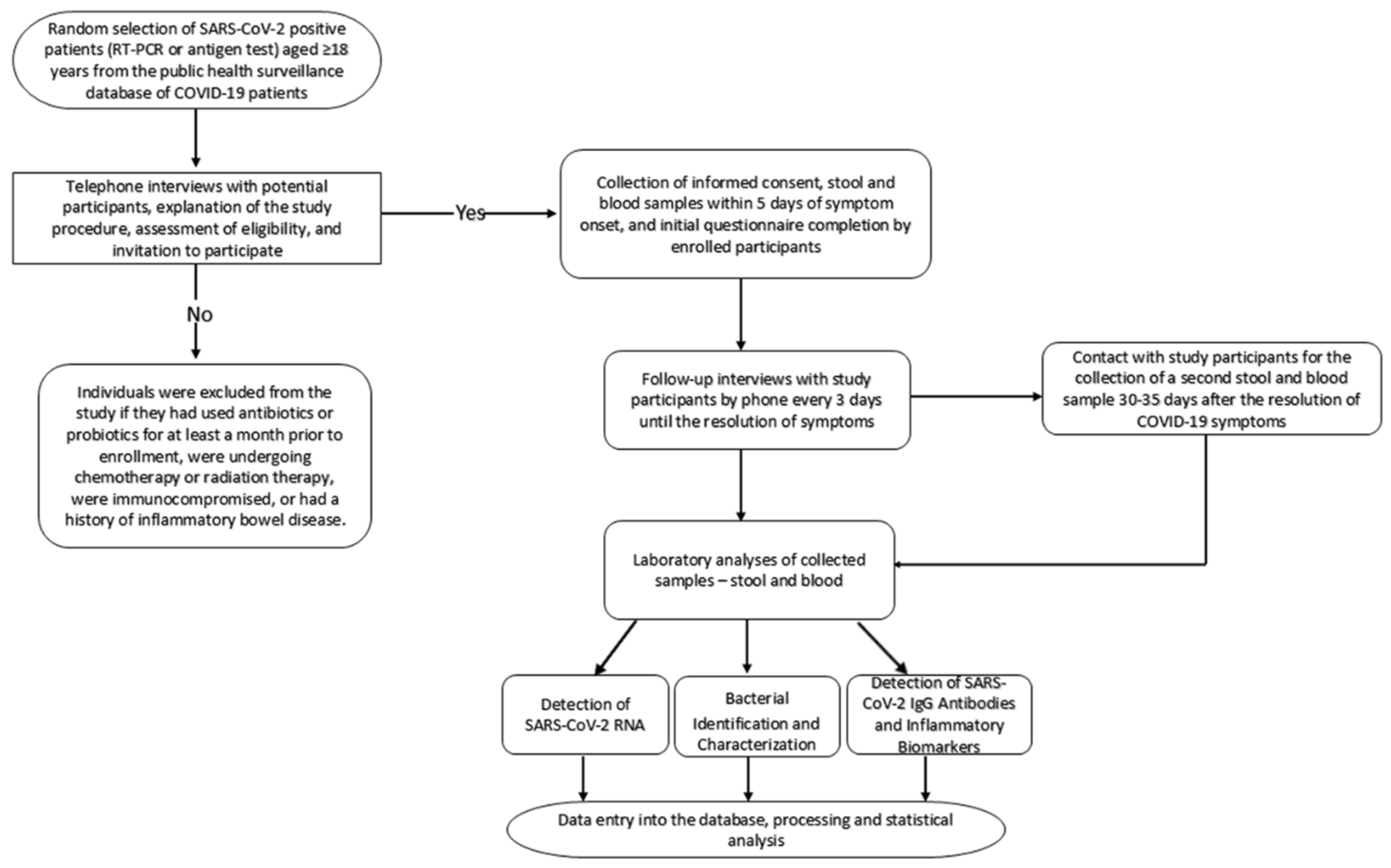 Microorganisms 12 01800 g001