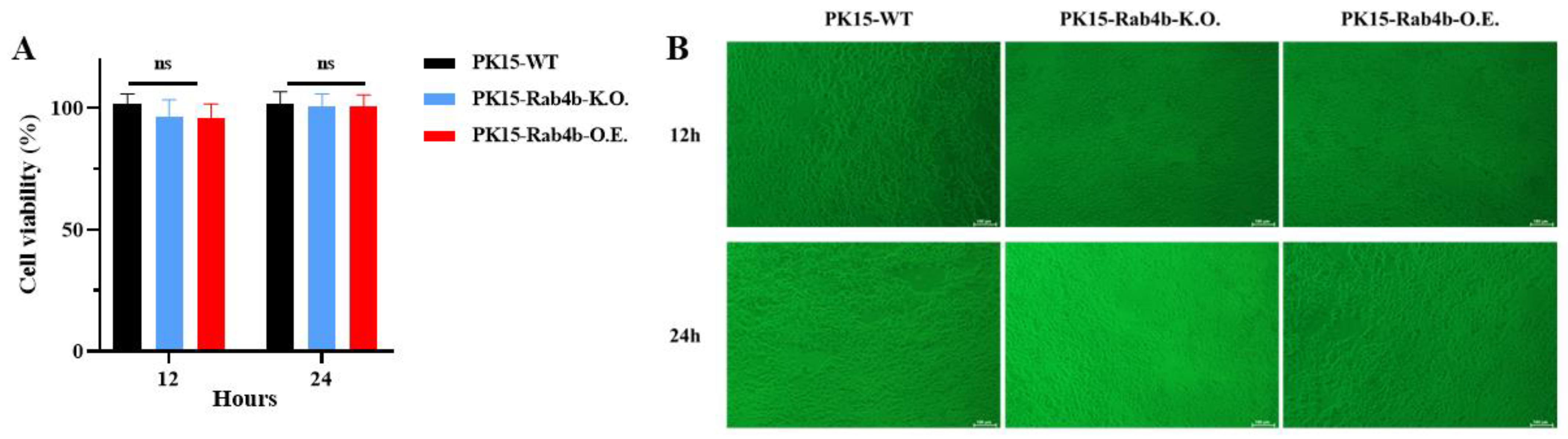 Microorganisms 12 01804 g001