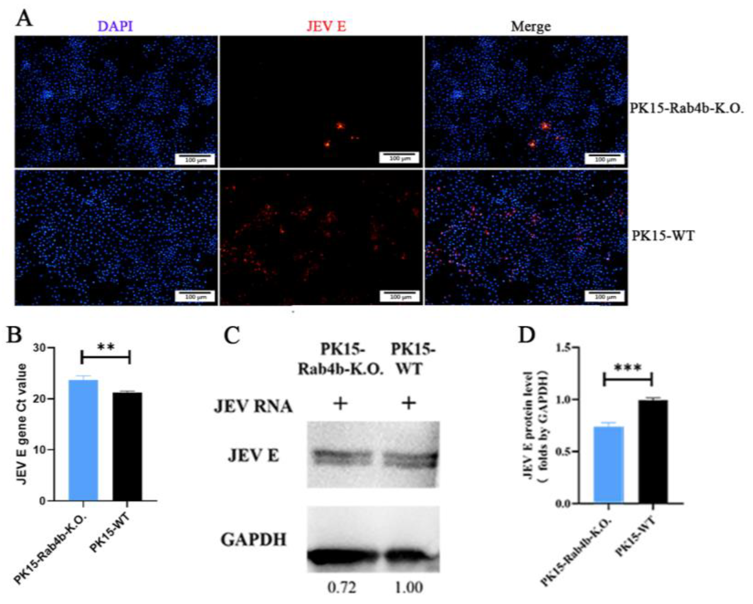 Microorganisms 12 01804 g006