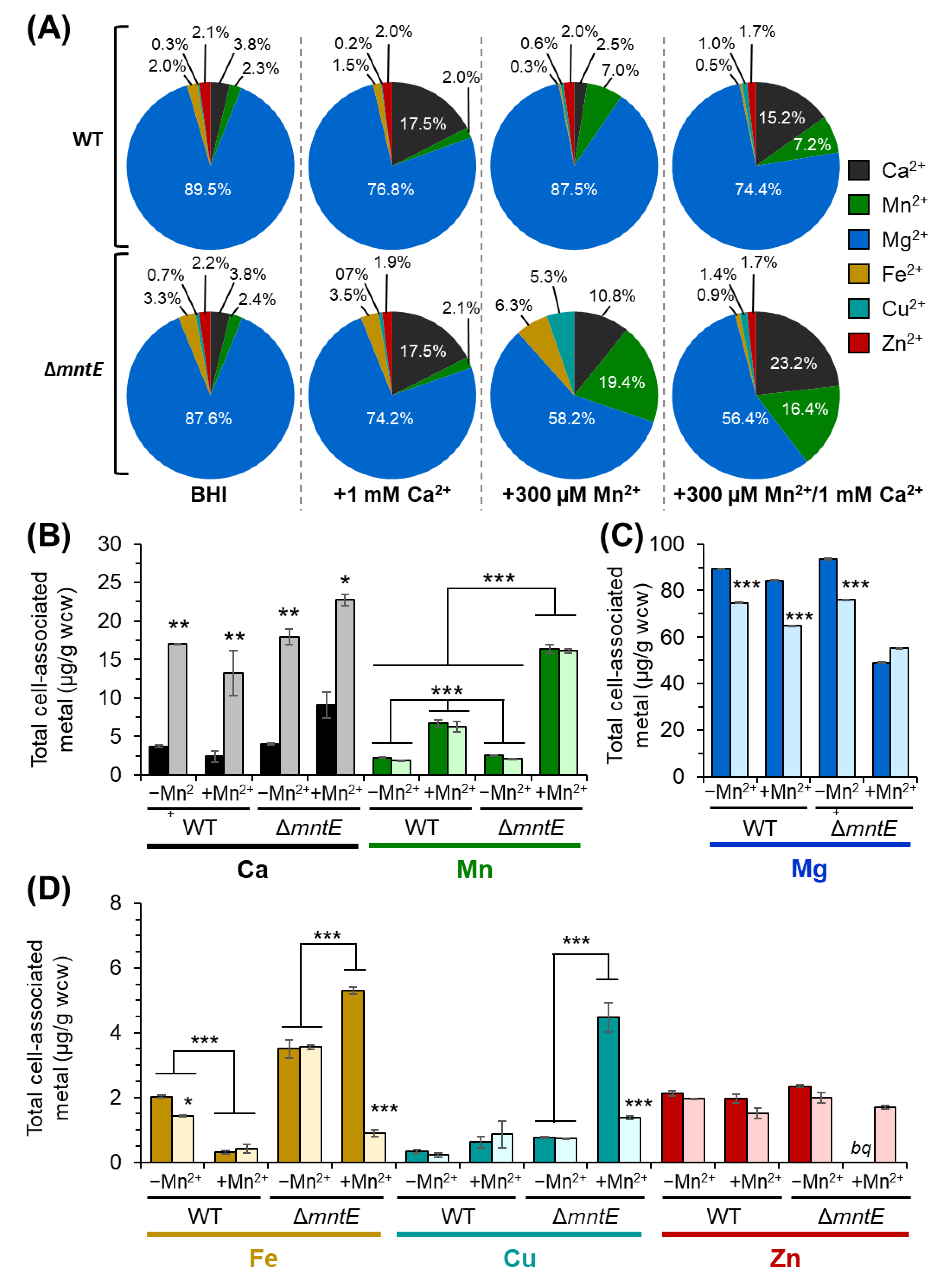 Microorganisms 12 01810 g004