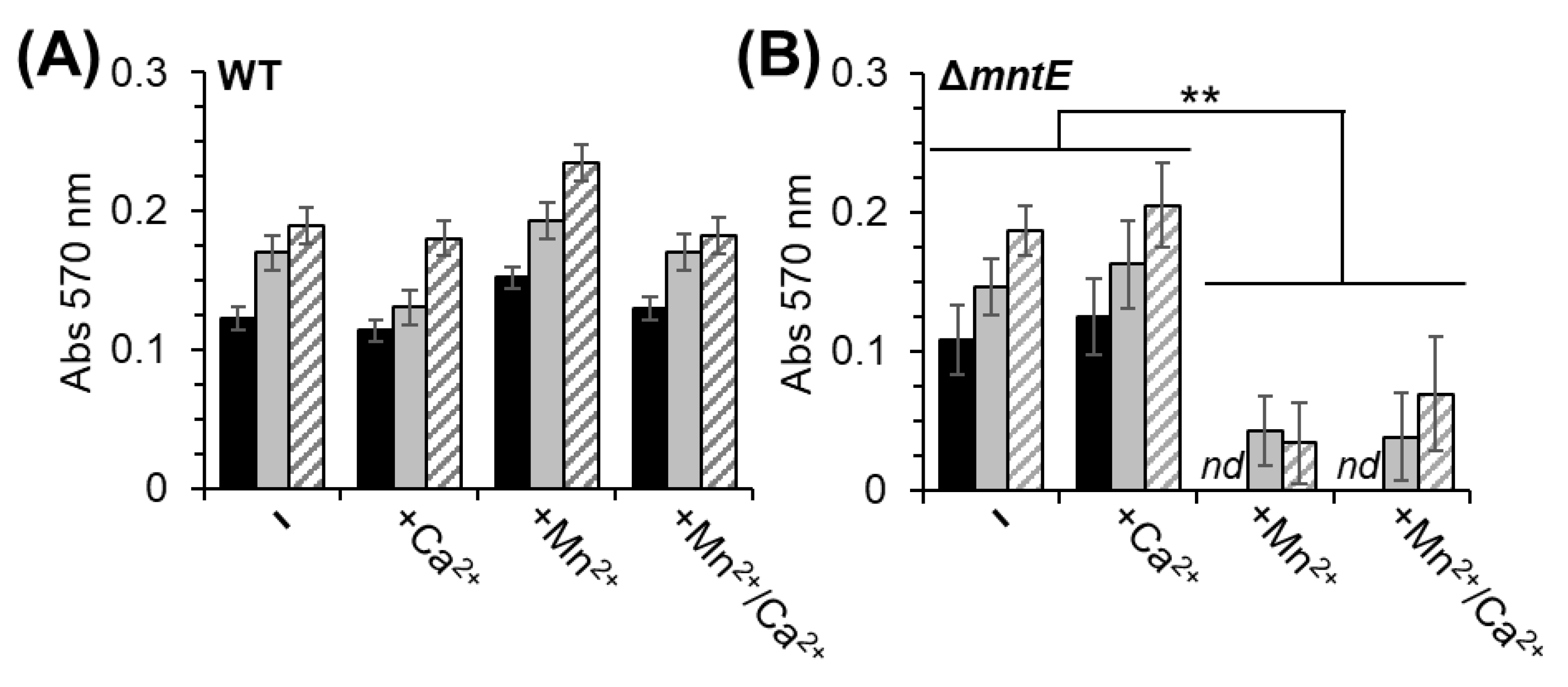 Microorganisms 12 01810 g006