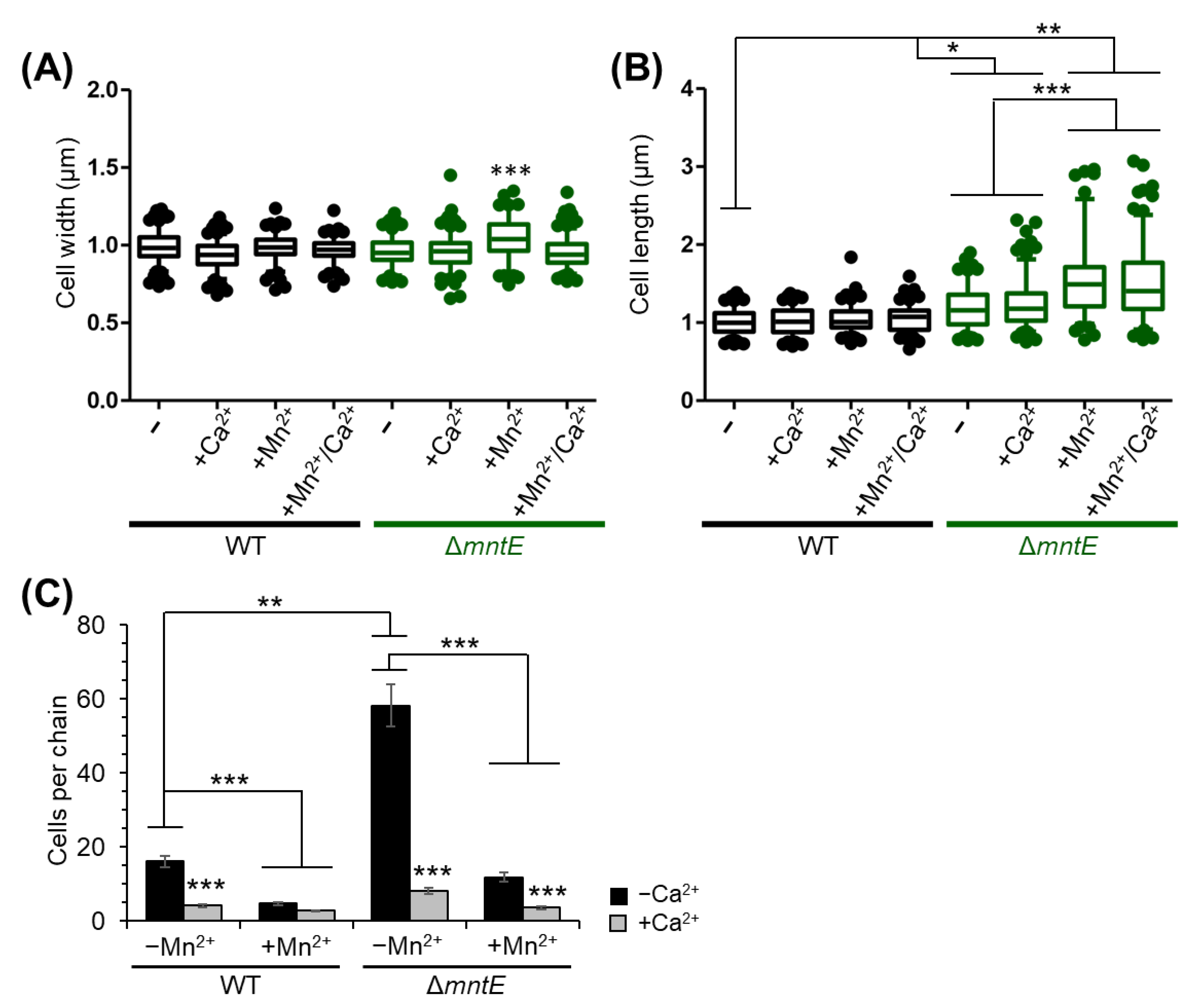 Microorganisms 12 01810 g008