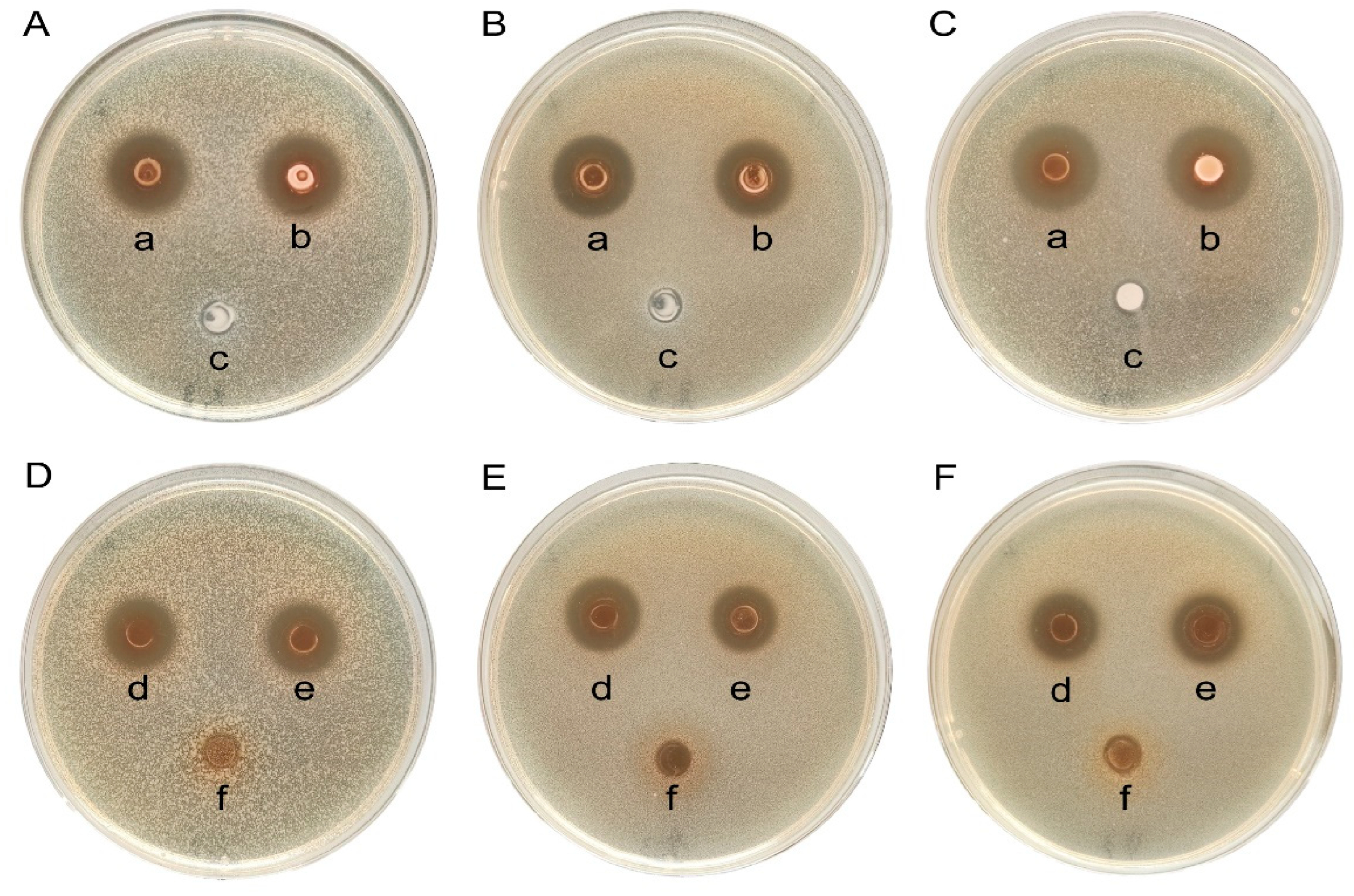 Microorganisms 12 01811 g005
