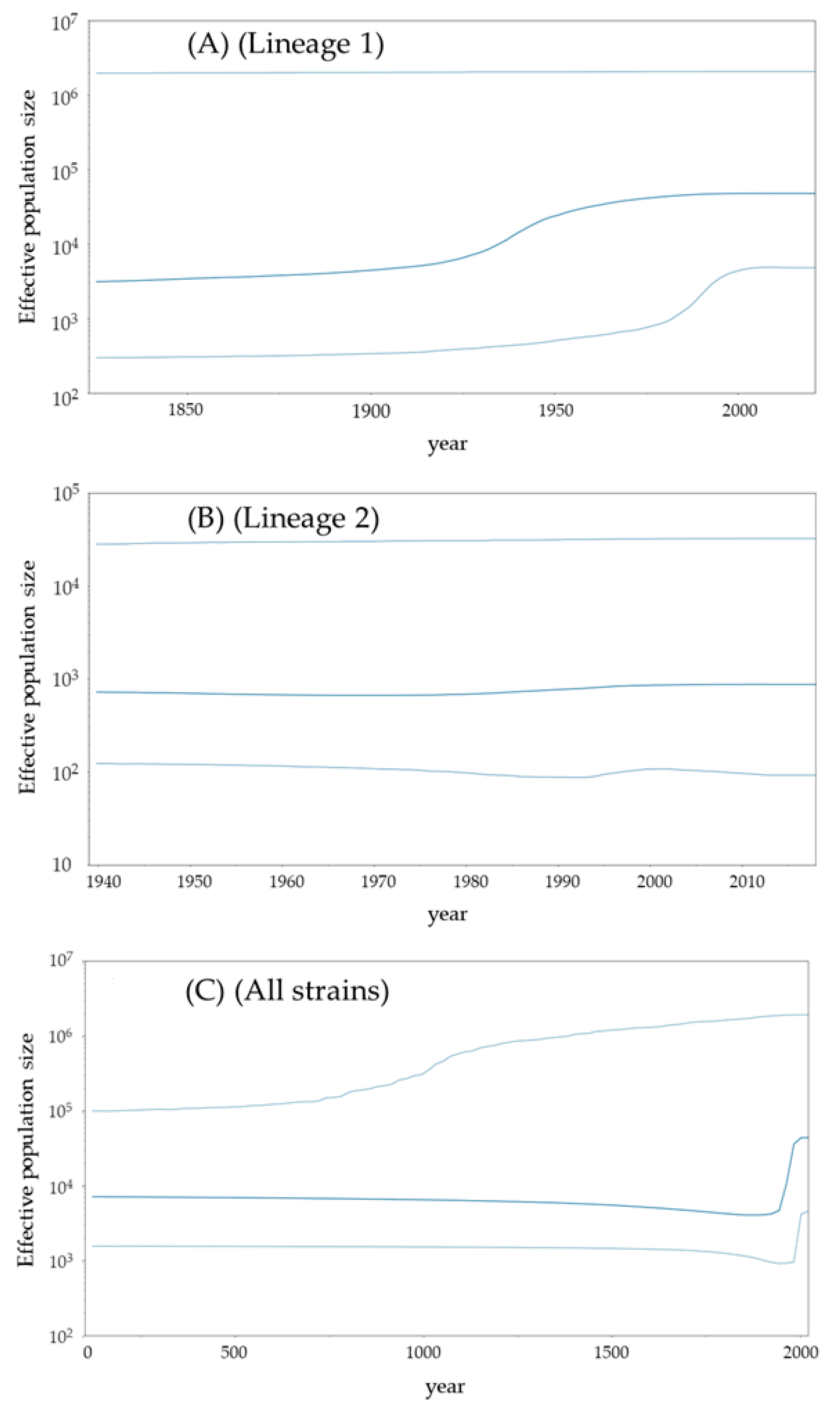 Microorganisms 12 01812 g003