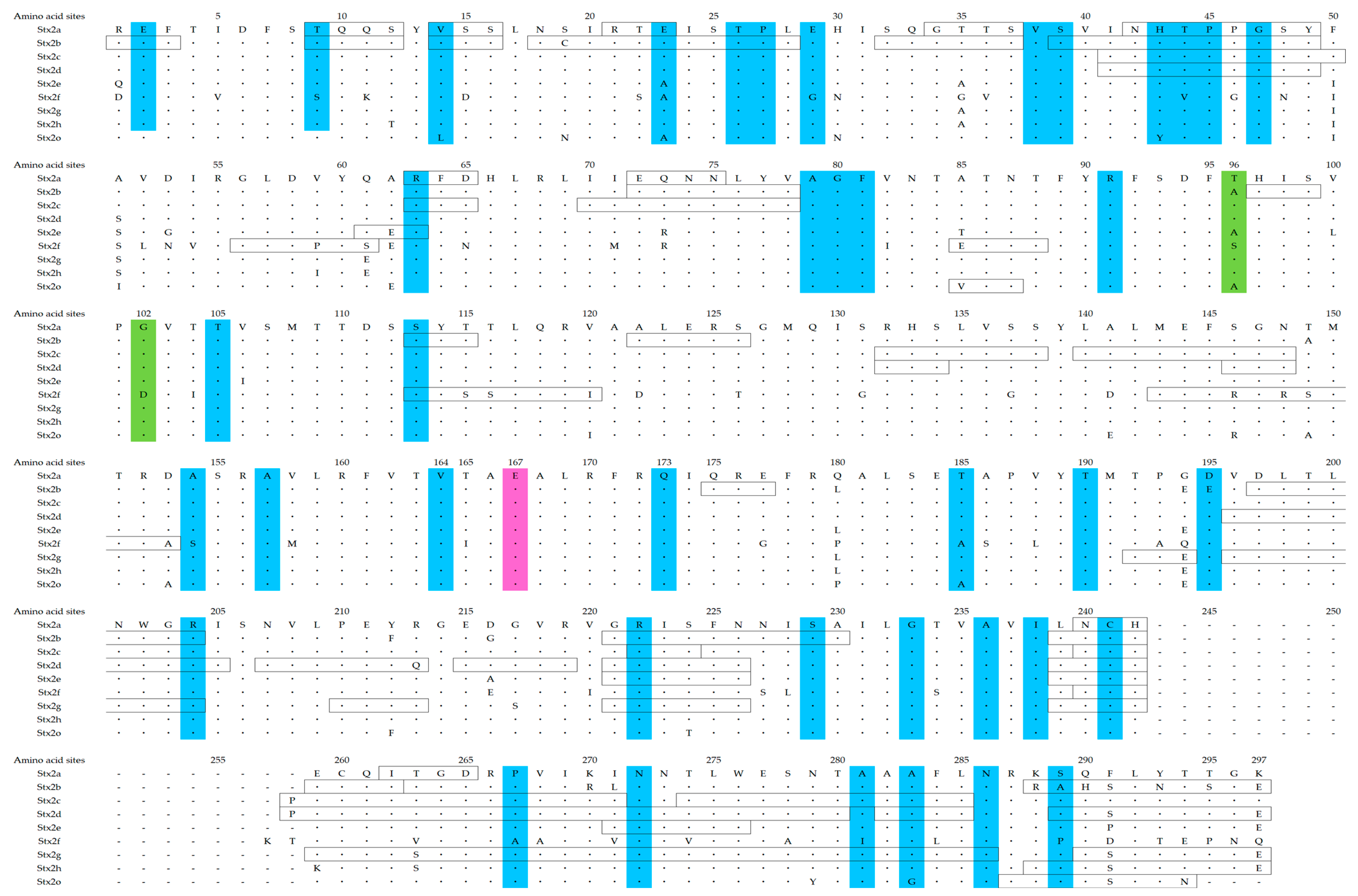 Microorganisms 12 01812 g004