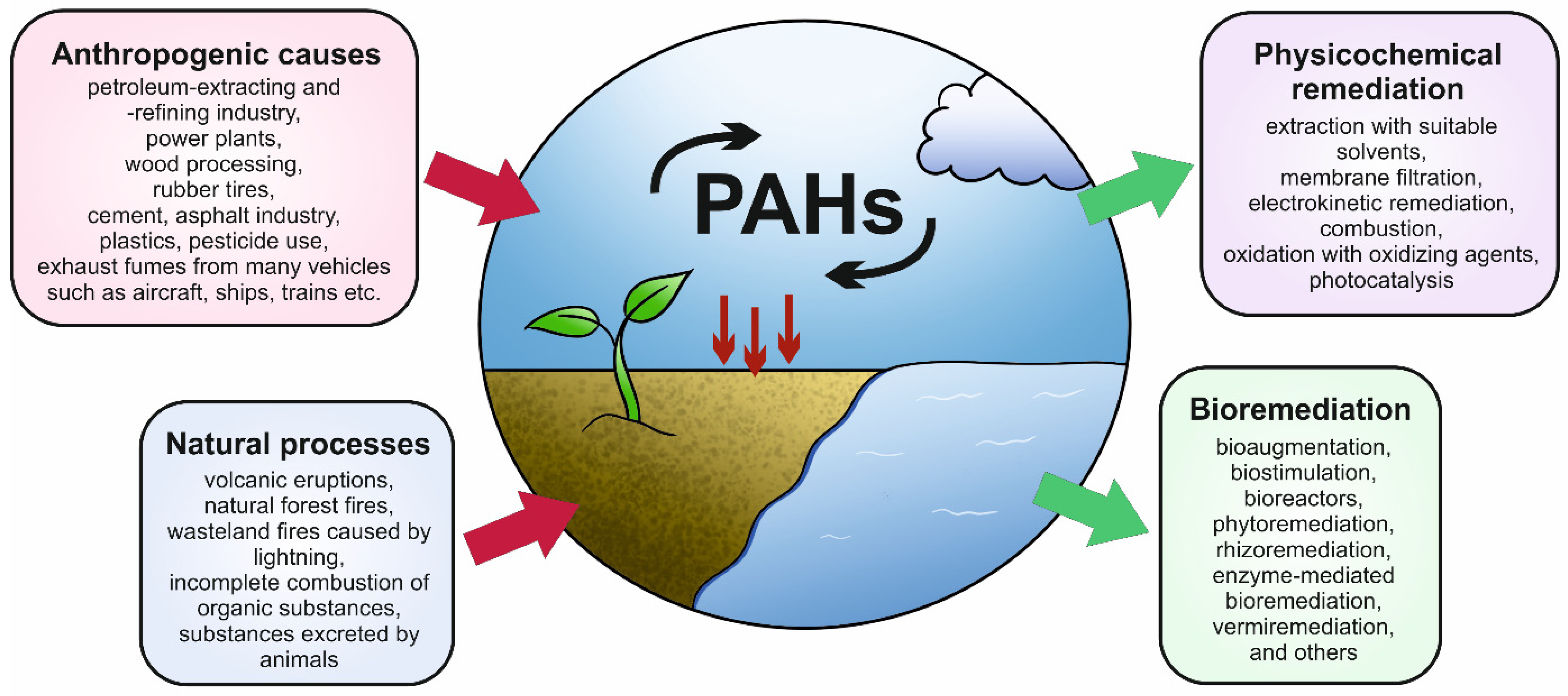 Microorganisms 12 01814 g002 Microorganisms 12 01814 g002