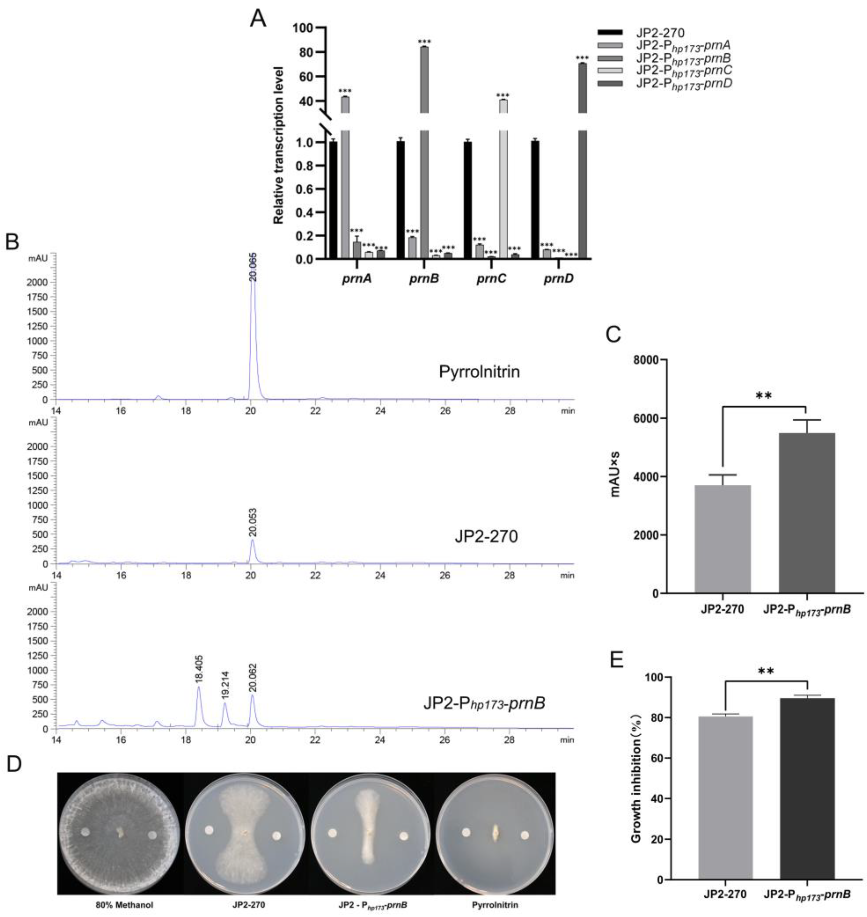 Microorganisms 12 01818 g004