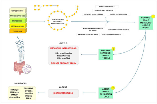 The Future Exploring of Gut Microbiome-Immunity Interactions