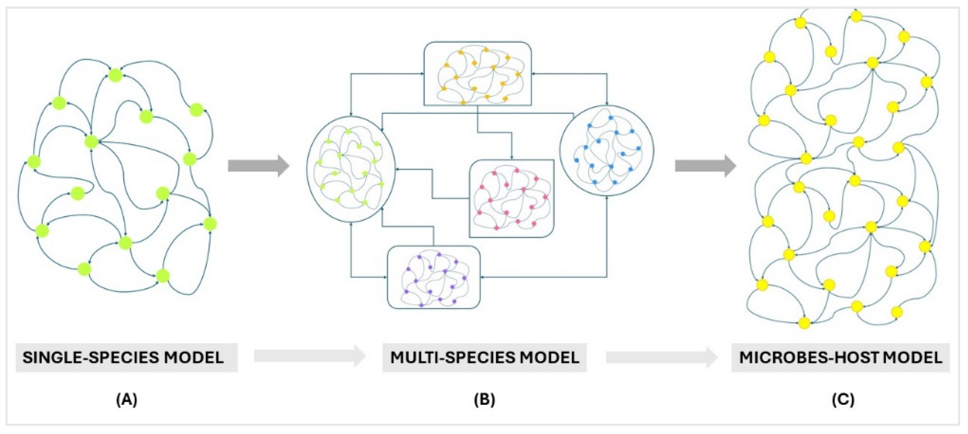 The Future Exploring of Gut Microbiome-Immunity Interactions