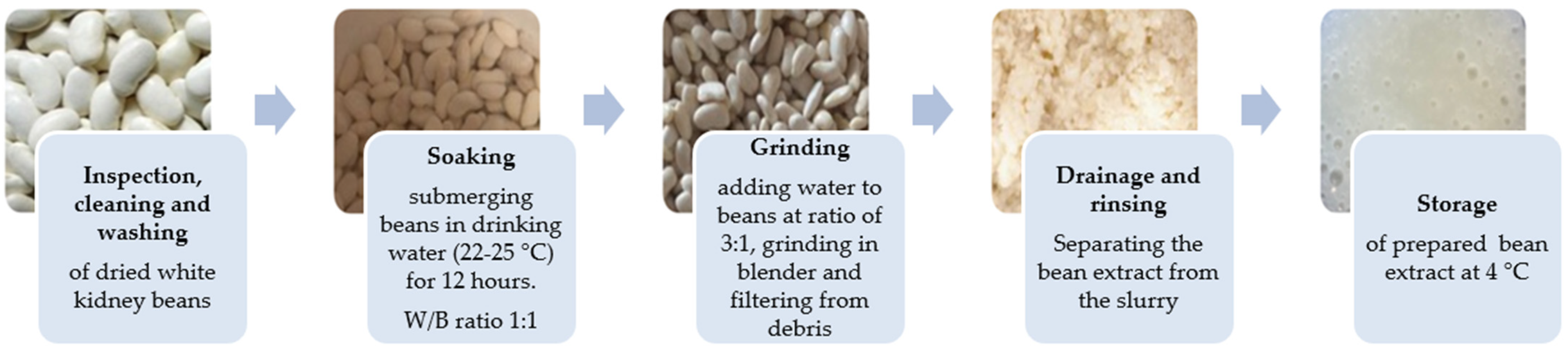 Microorganisms 12 01832 g001