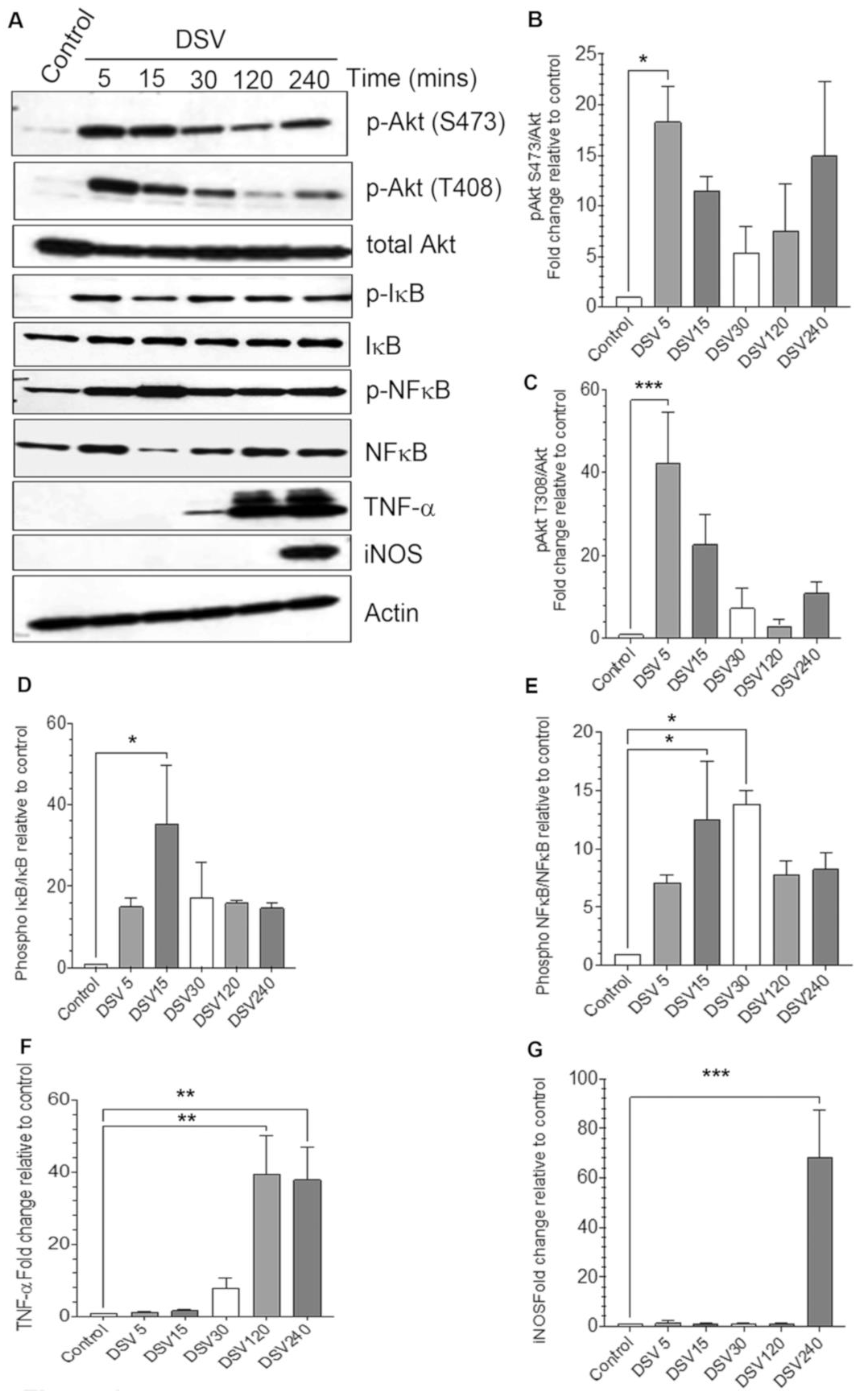 Microorganisms 12 01833 g001