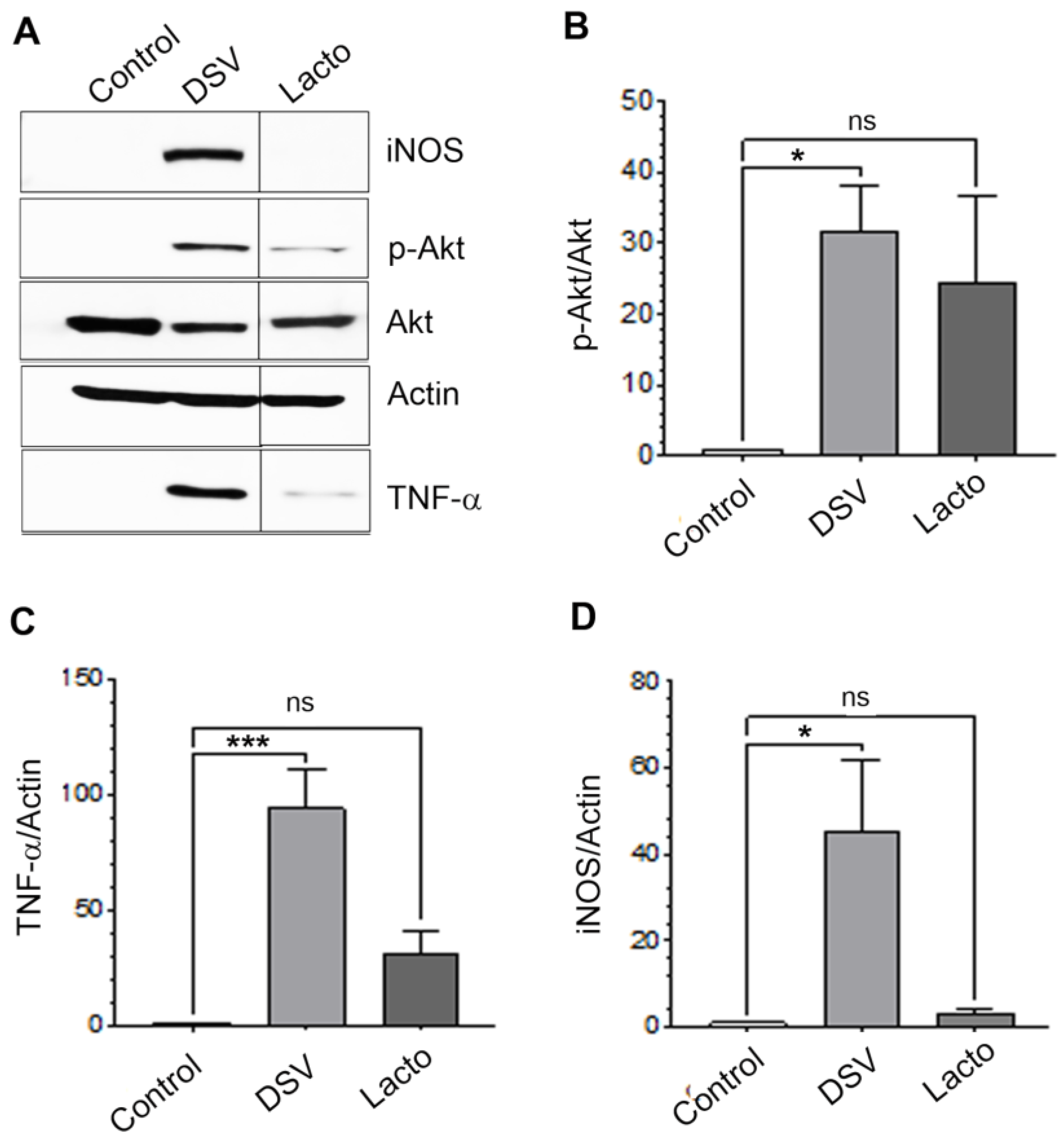 Microorganisms 12 01833 g003