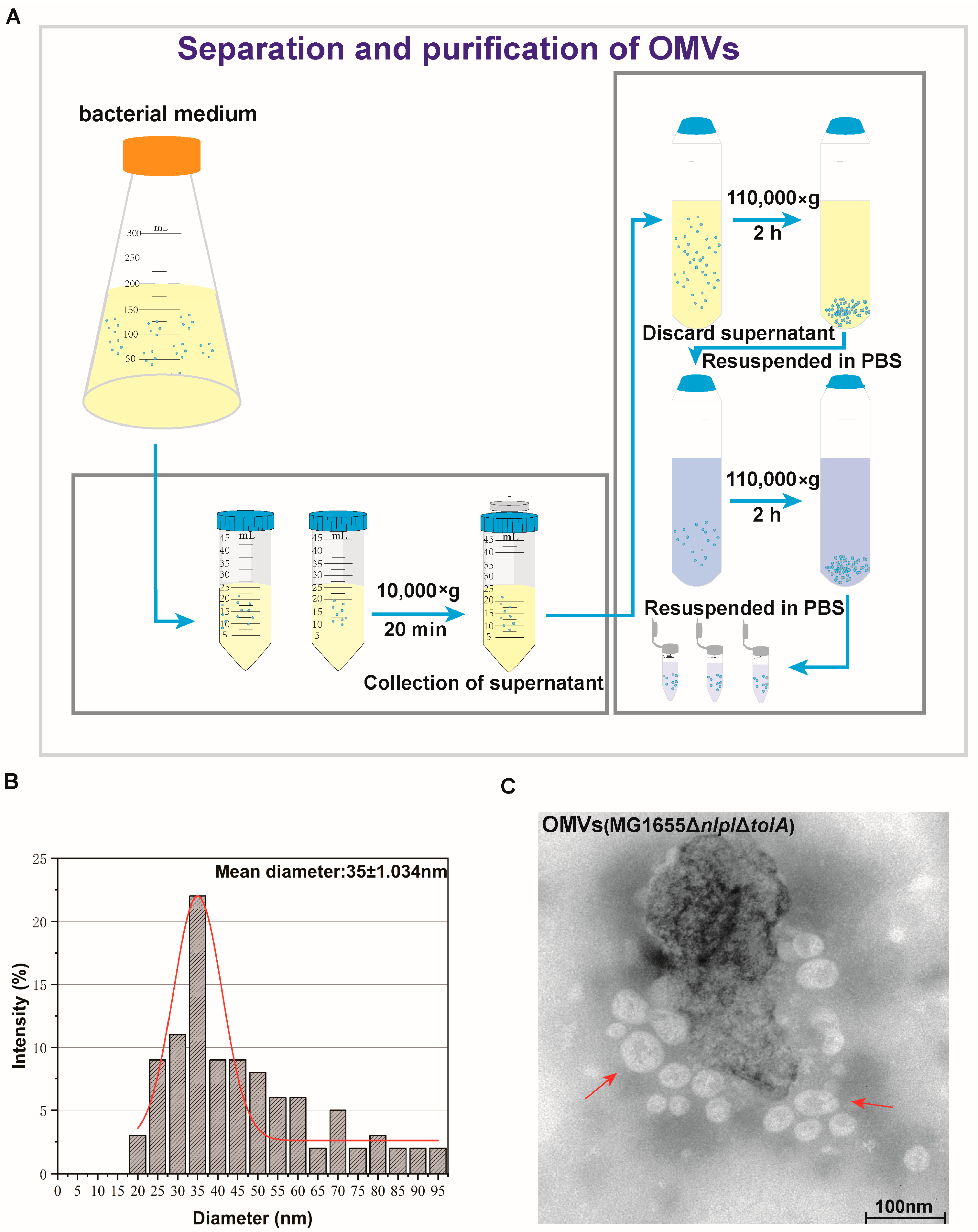 Microorganisms 12 01836 g002