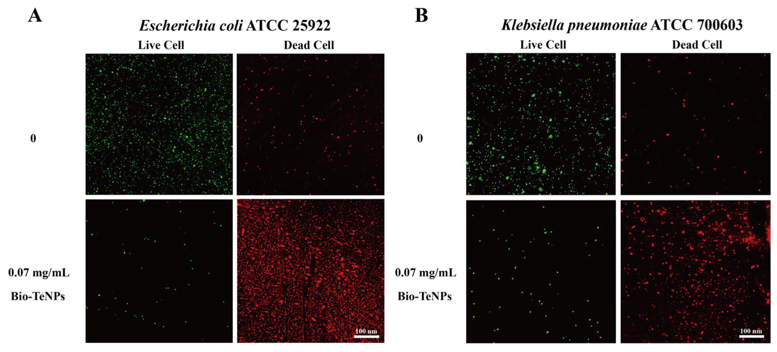 Microorganisms 12 01847 g005