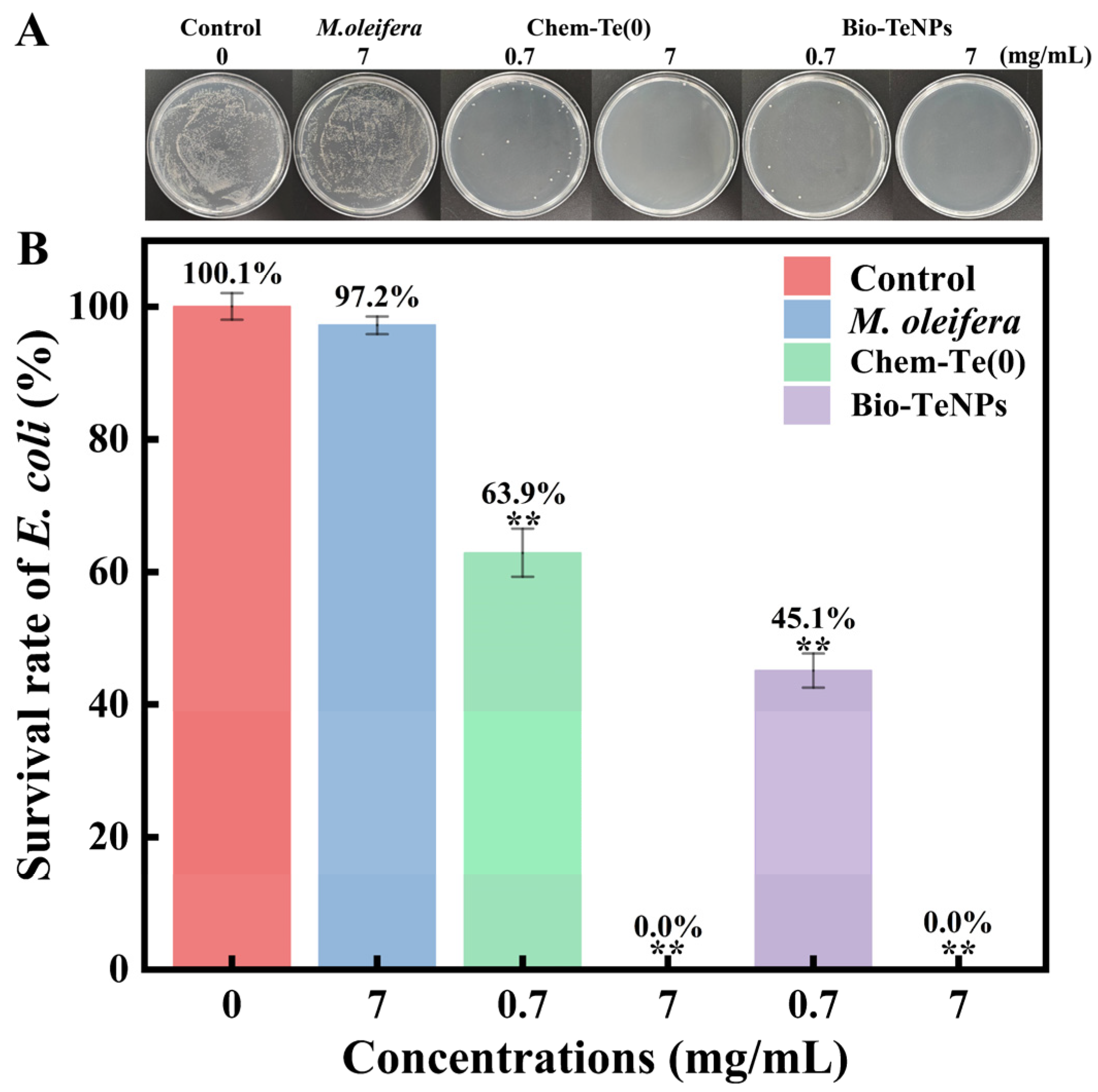 Microorganisms 12 01847 g008