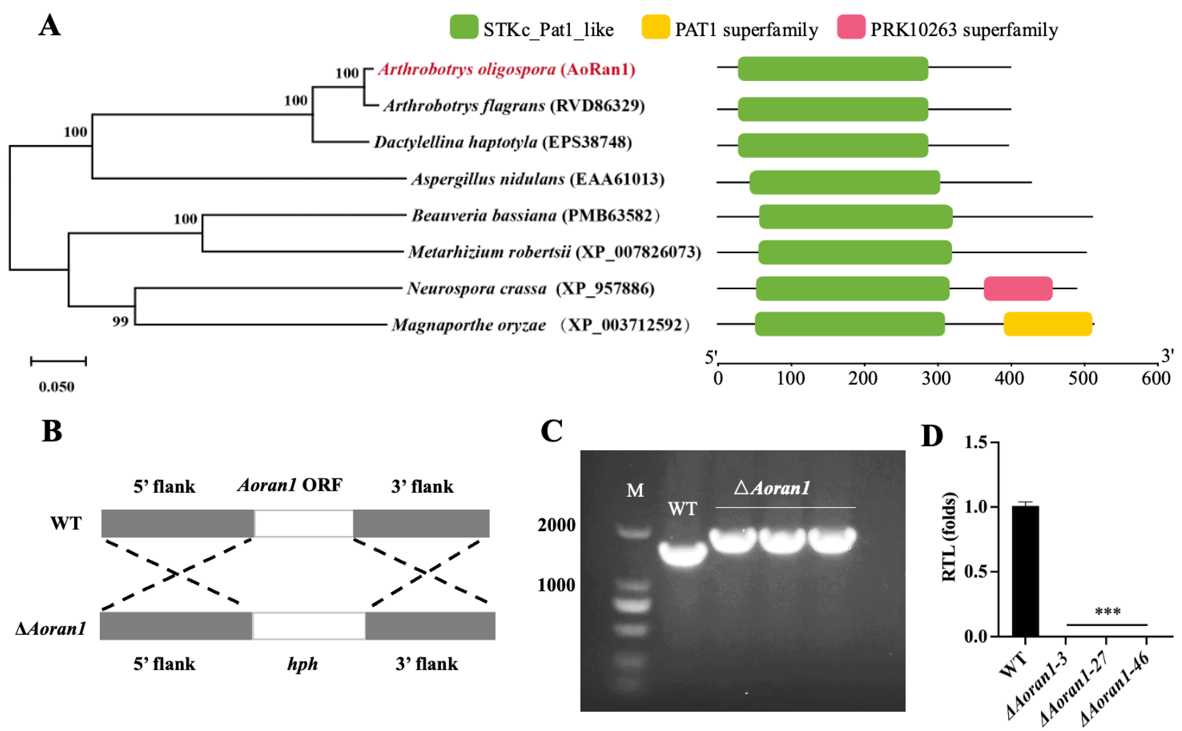 Microorganisms 12 01853 g001