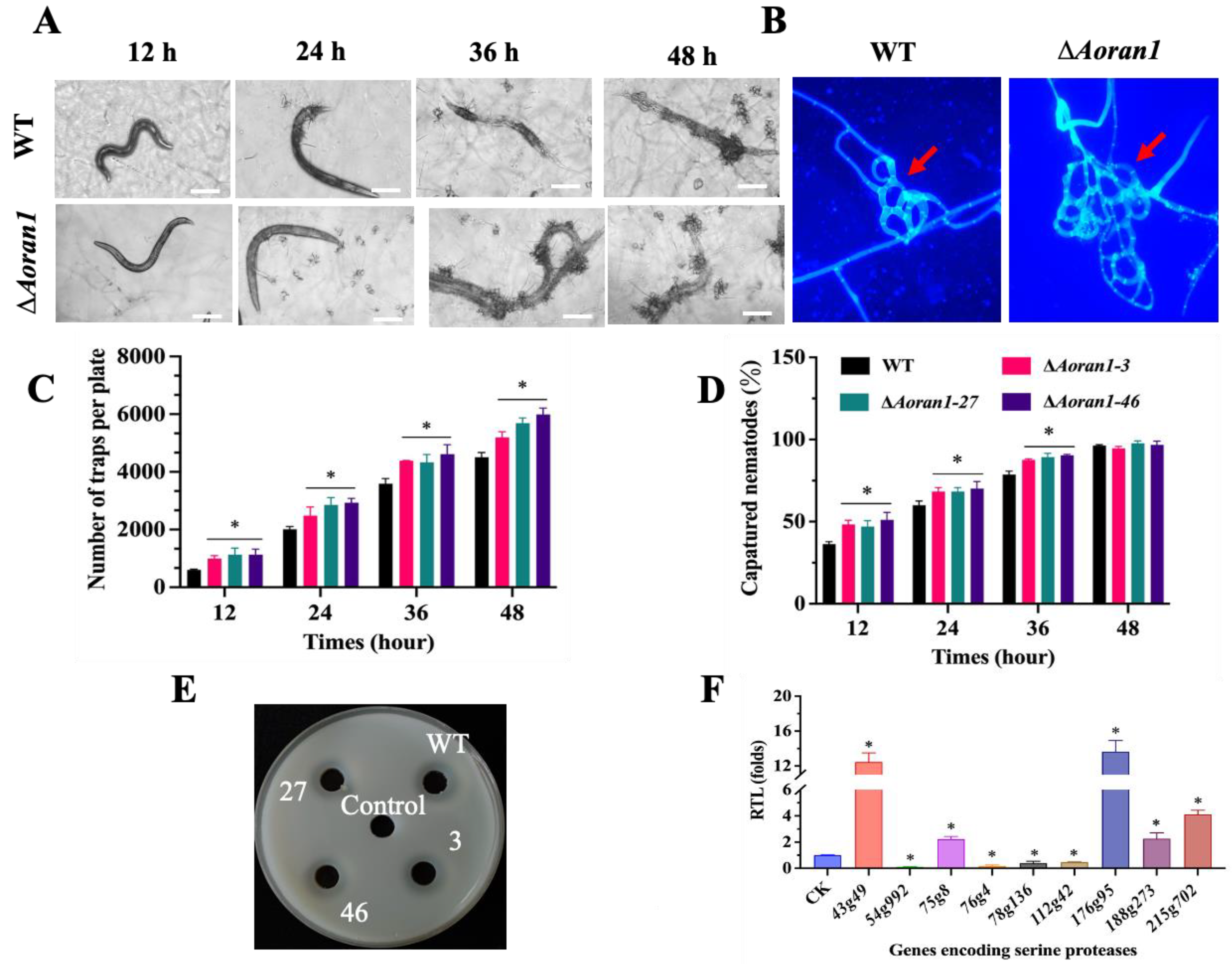 Microorganisms 12 01853 g004