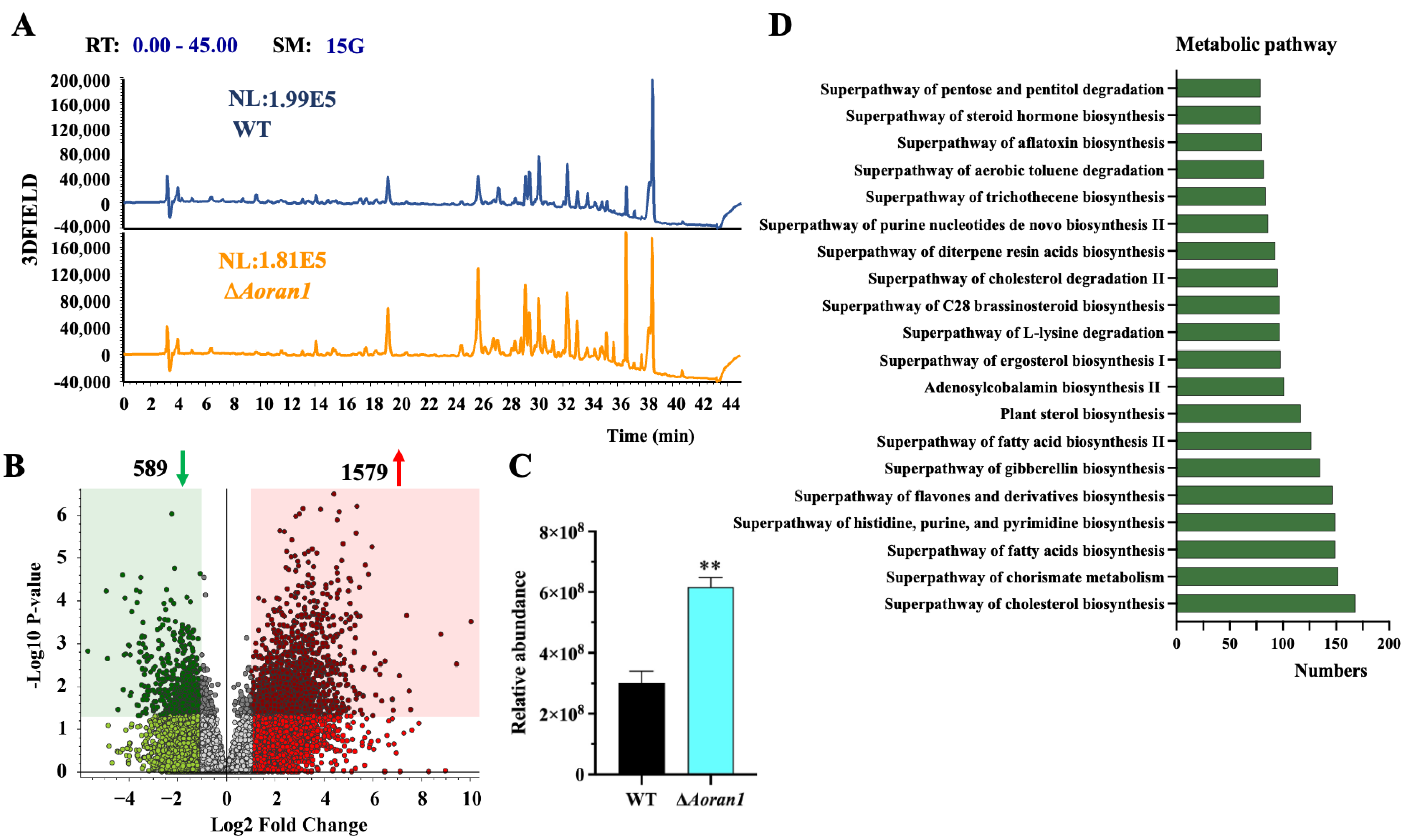Microorganisms 12 01853 g007