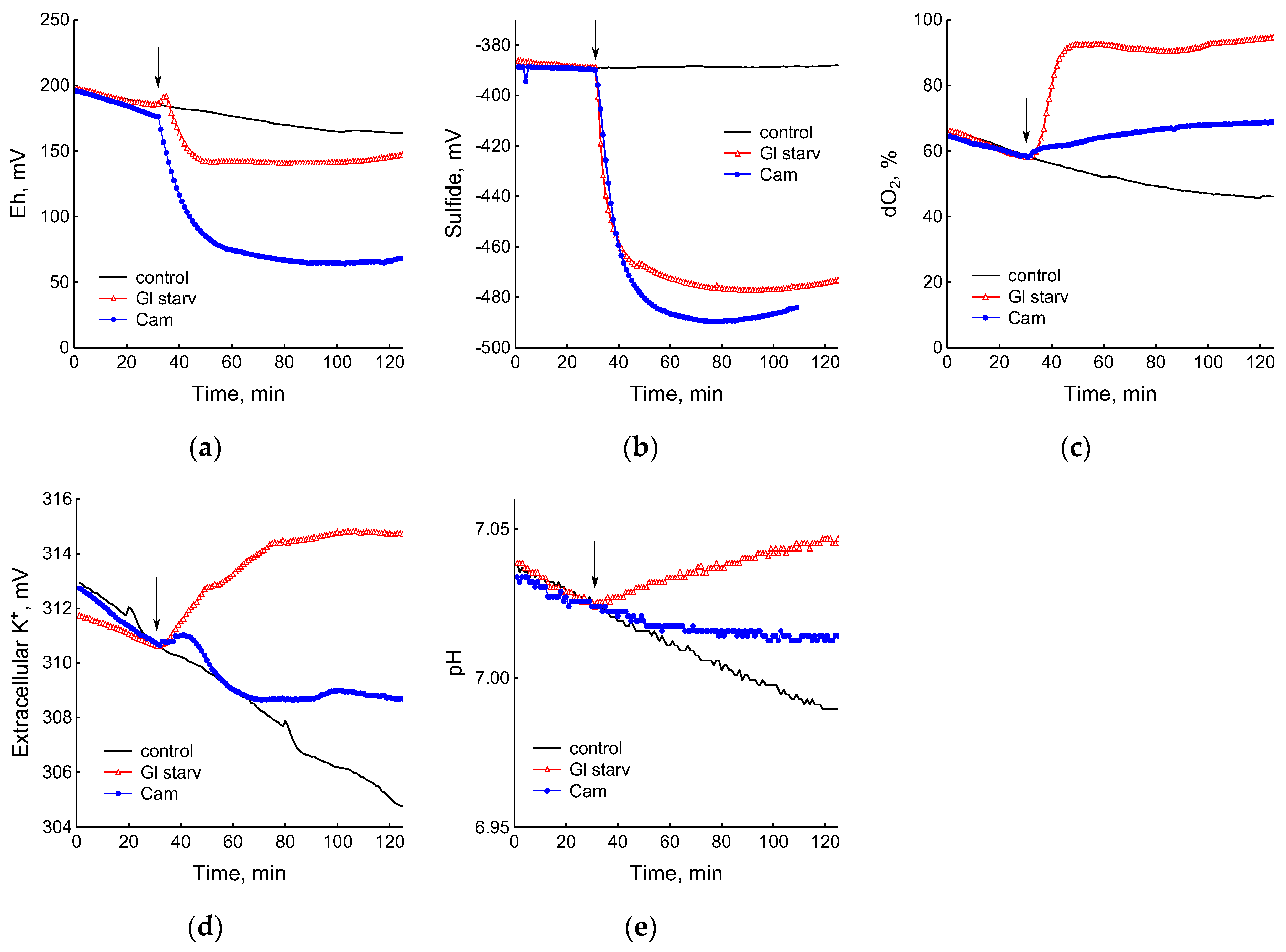 Microorganisms 12 01856 g002