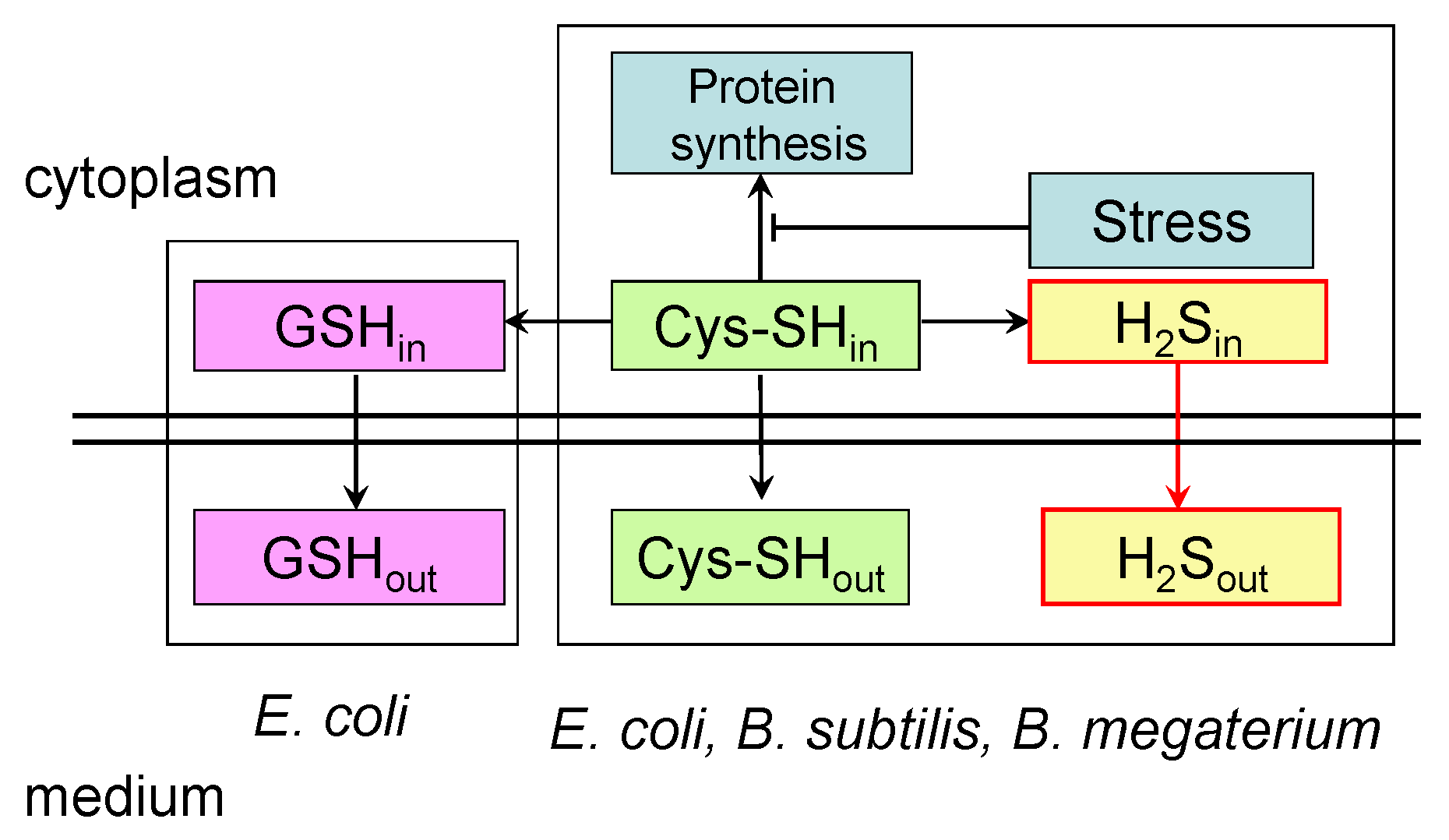 Microorganisms 12 01856 g005