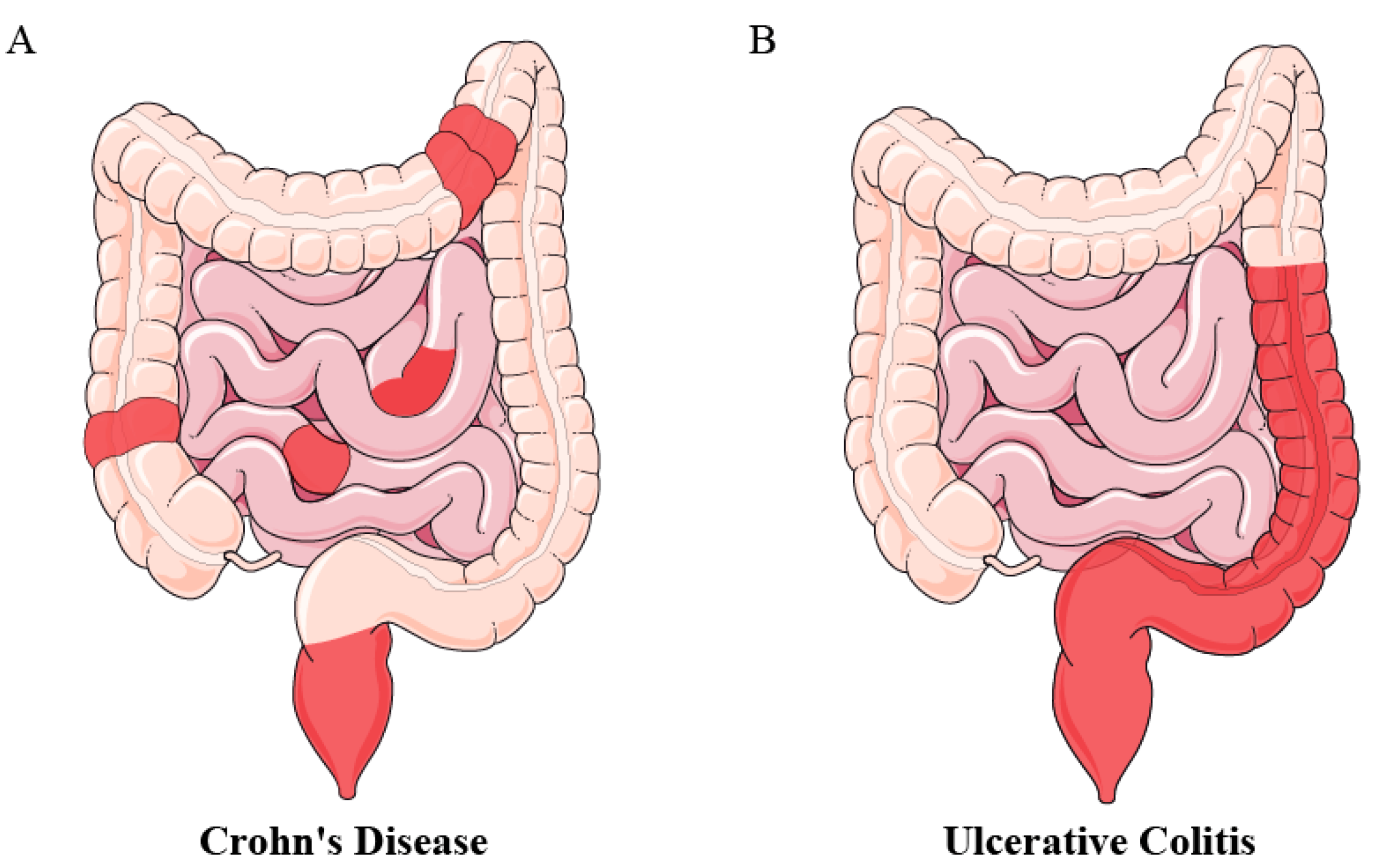 Microorganisms 12 01864 g001