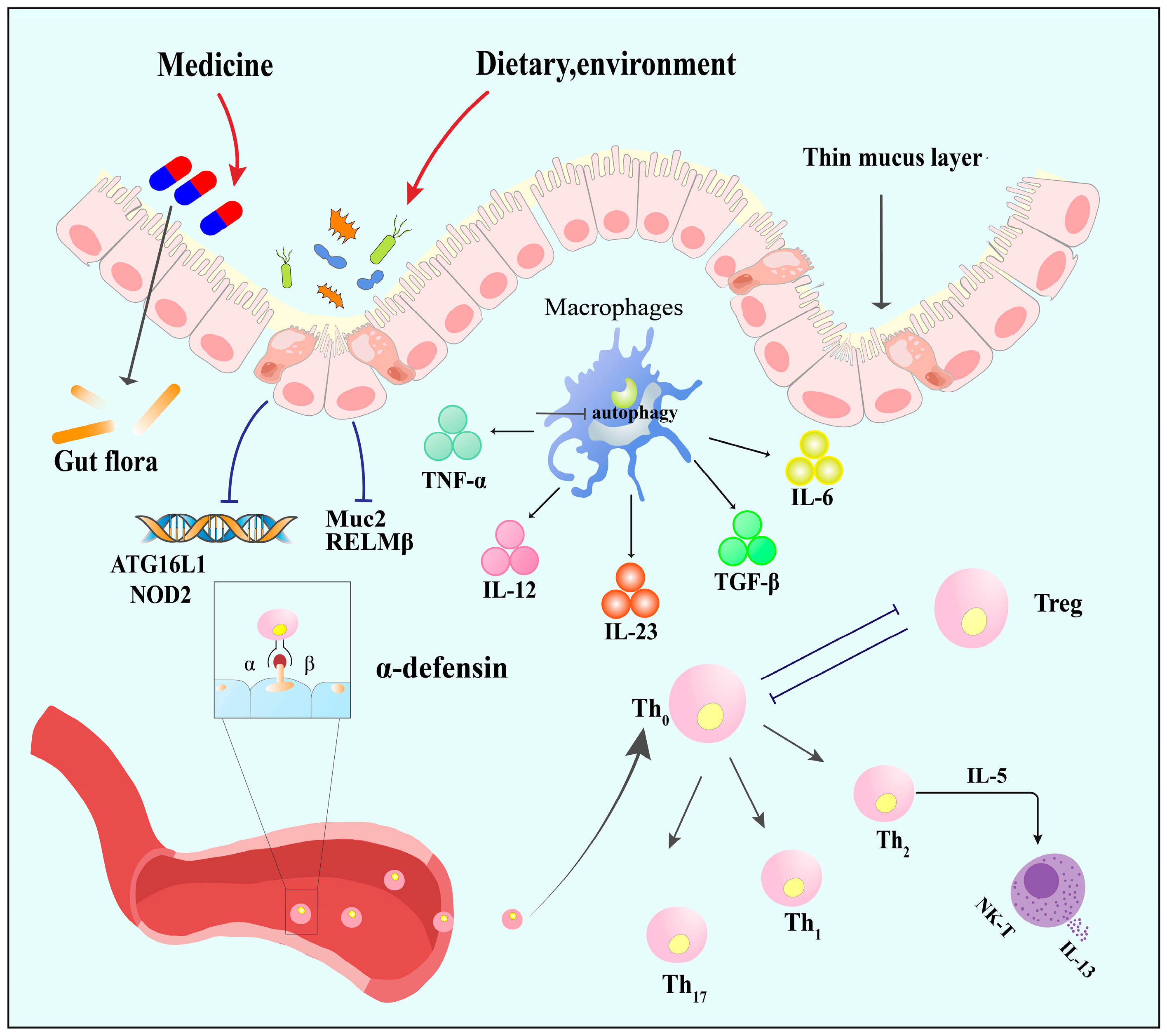 Microorganisms 12 01864 g002