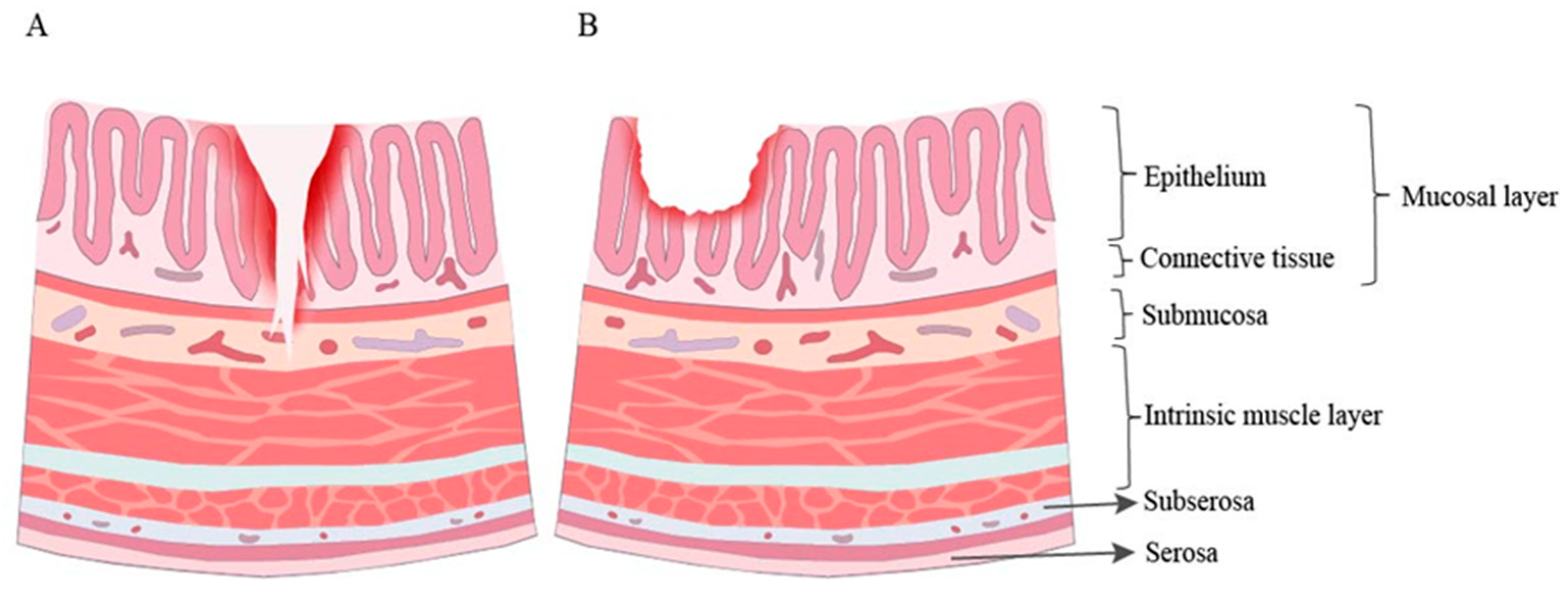 Microorganisms 12 01864 g004