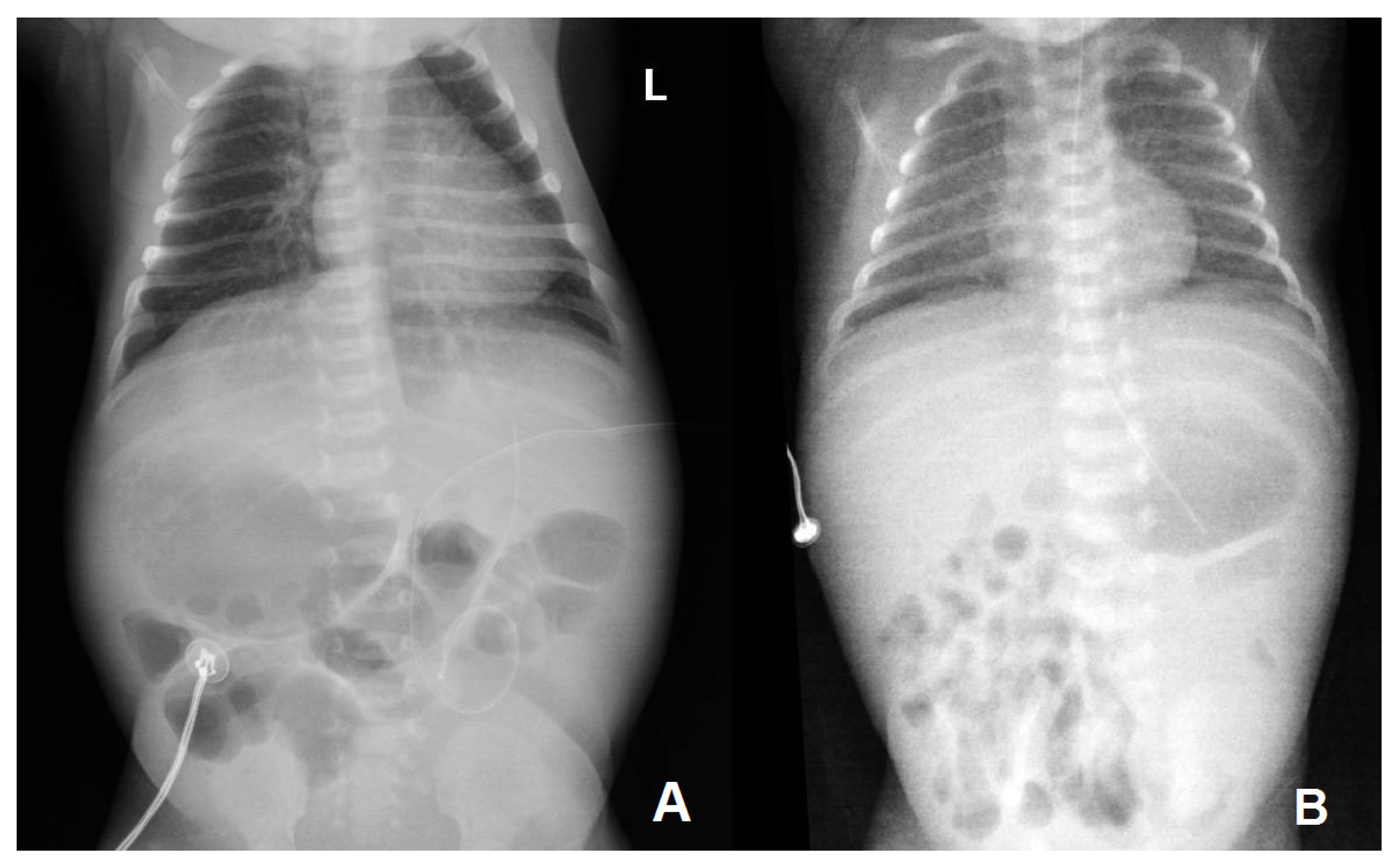 Microorganisms 12 01869 g002